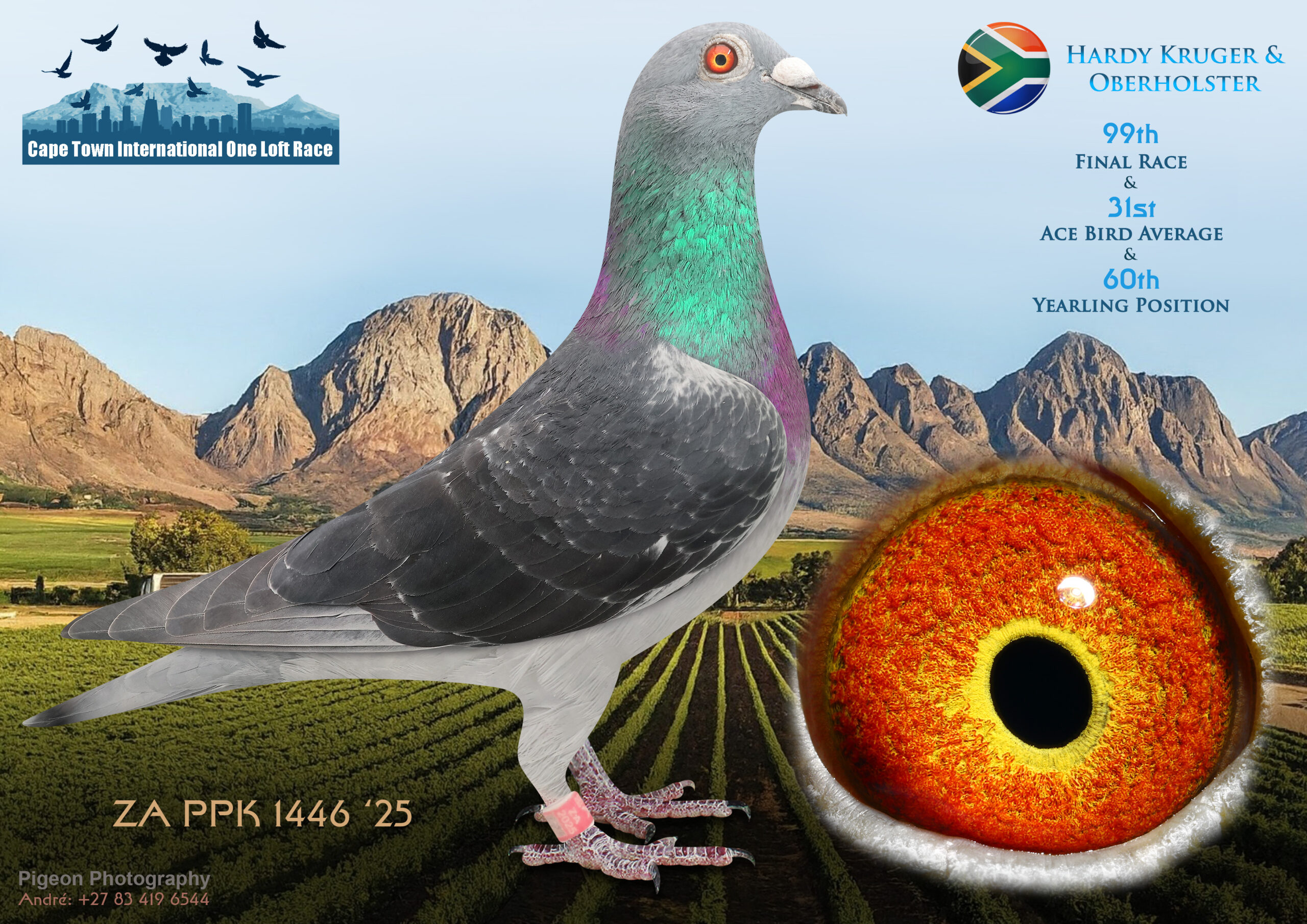 LOT 39 CAPE TOWN WINTER-Hardy Kruger & Oberholster-ZA-PPK-25-1446 -SIRE:29572 BG 19.Petar & Kiril Raponski Race Results SAMDPR 2020 73th Final Race 1548 p. 600 km 114th H.Spot5 1756 p. 340 km 180th H.Spot1 2334 p. 165 km & 3 x Top 100 in Tr.Flights.———–DAM:406 DV 04391 22 BLACK MR 21 SG Deimel & Fecke Bred for Stock Monte Ried x Hardy Kruger.SEE PEDIGREE!!!!