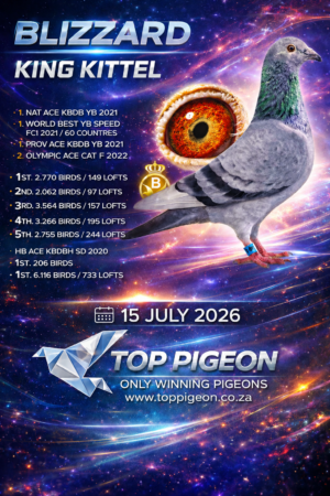 ACTIVE AUCTION - BLIZZARD KING KITTEL - FROM 13 JULY TO WEDNESDAY 15 JULY 2026 (ENDING FROM 20:00)