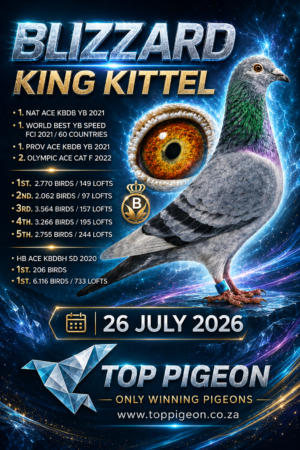 ACTIVE AUCTION - BLIZZARD KING KITTEL - FROM 22 JULY TO SUNDAY 26 JULY 2026 (ENDING 14:05)