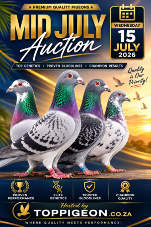 ACTIVE AUCTION - MID JULY - FROM 13 JULY TO WEDNESDAY 15 JULY 2026 (ENDING FROM 20:40)
