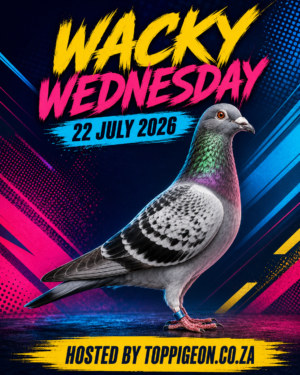 ACTIVE AUCTION - WACKY WEDNESDAY - FROM 21 JULY TO WEDNESDAY 22 JULY 2026 (ENDING FROM 20:40)
