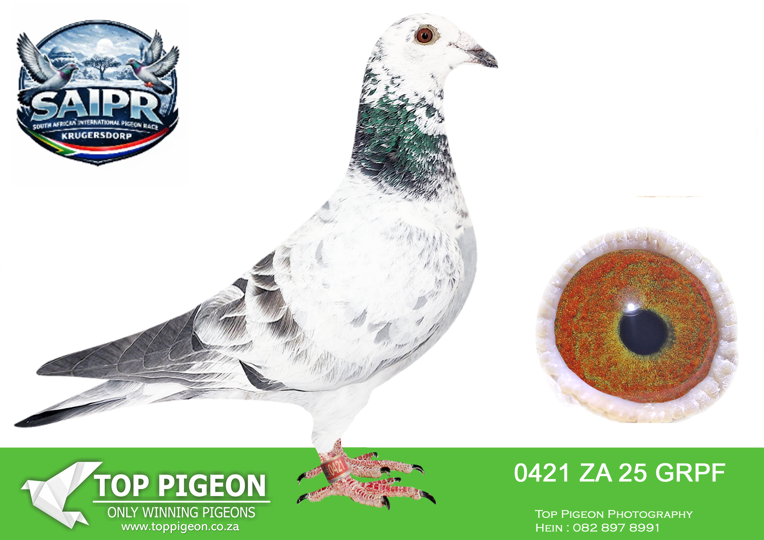 LOT 16 SAIPR WINTER OLR – CANNISTARO 2-GRPF 0421 2025 –