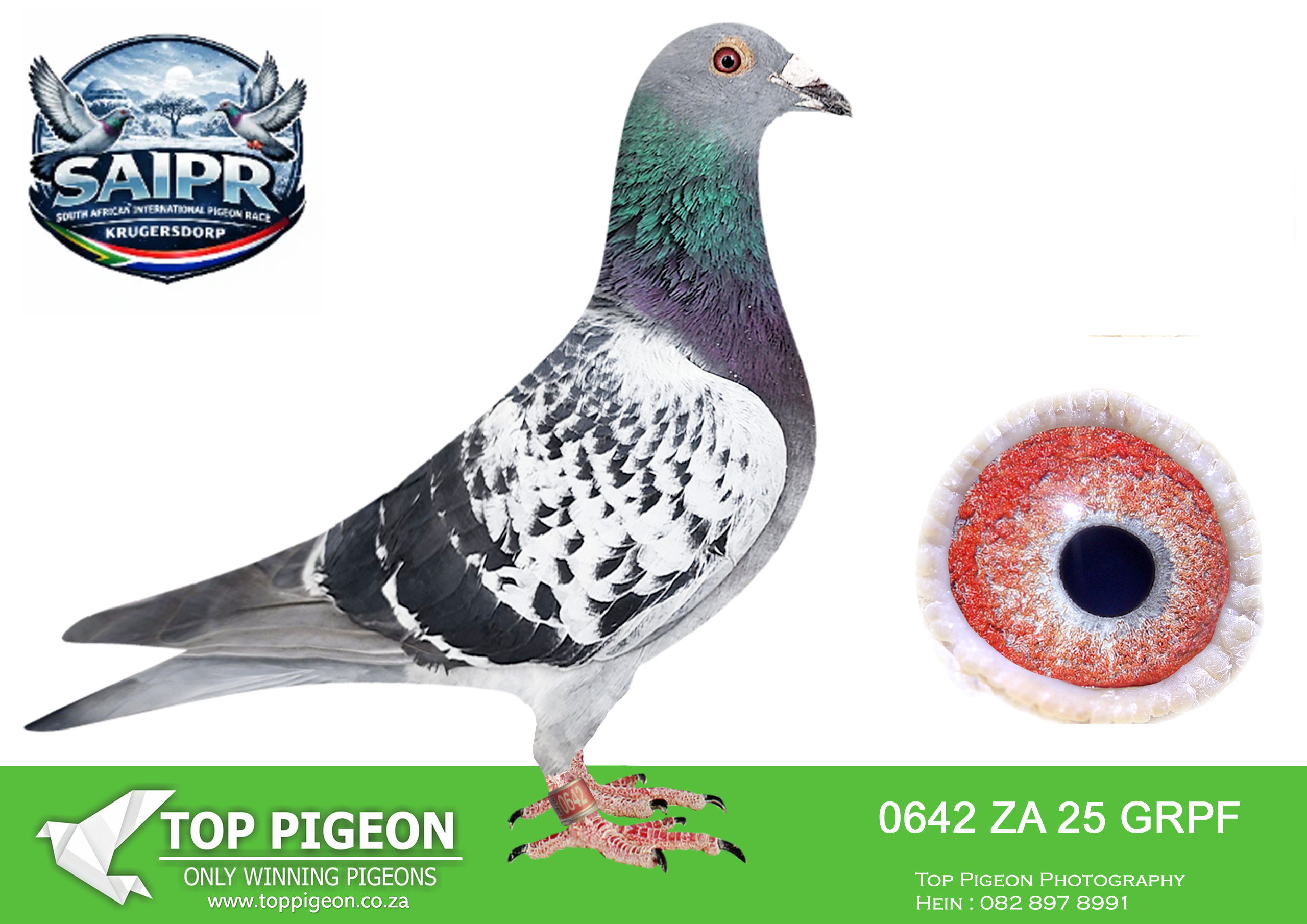 LOT 11 SAIPR WINTER OLR – FRED BROUGH-GRPF 0642 2025 –
