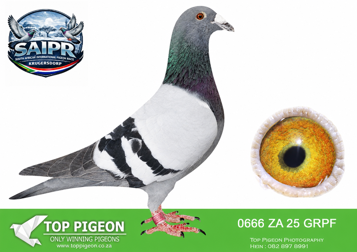 ZZ..LOT 150 SAIPR WINTER OLR -PASSION LOFTS 2-ZA GRPF 0666 2025 –
