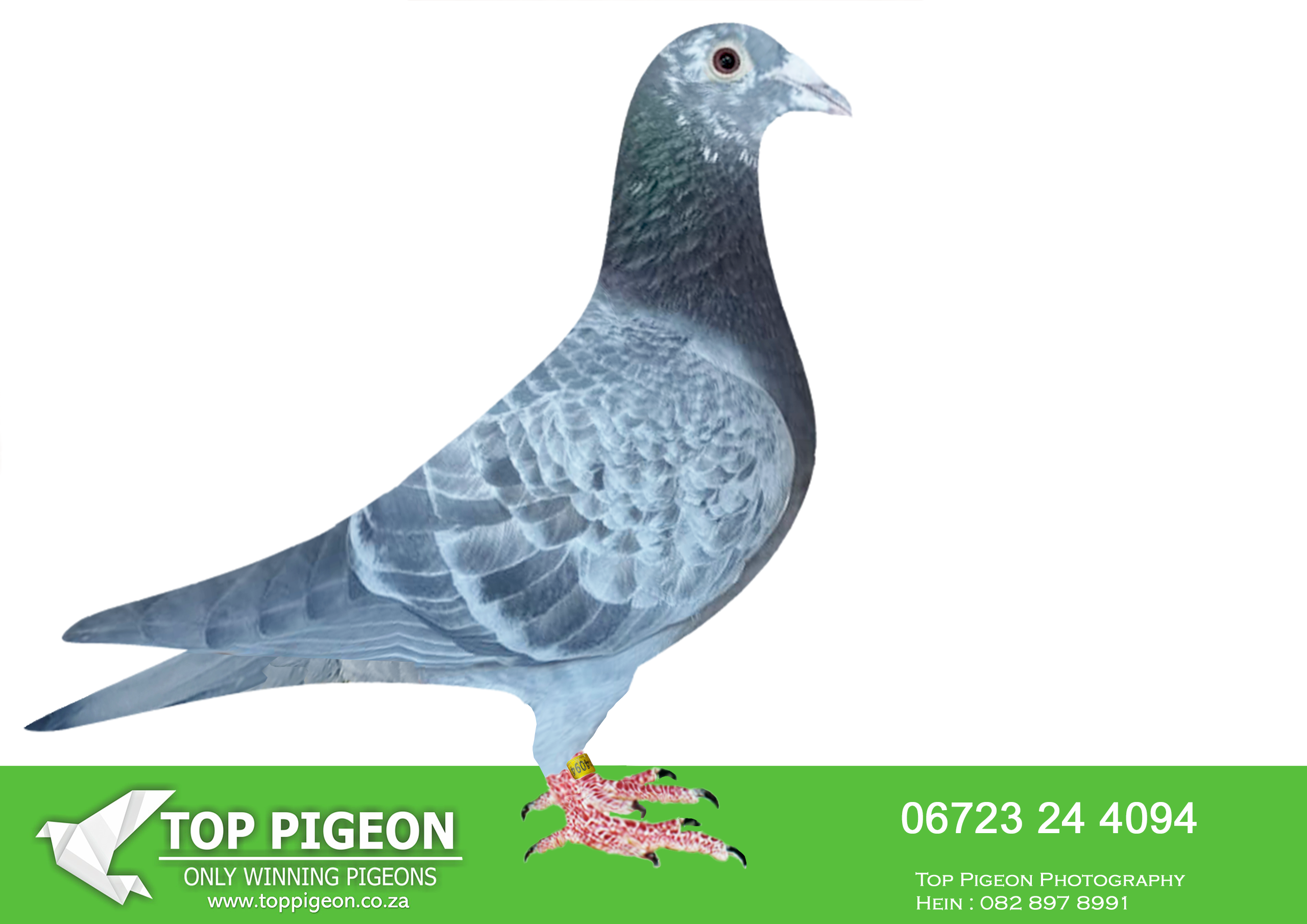 LOT 28 KALAHARI LOOTS AUCTION 2 – DV 24 06723 4094 –