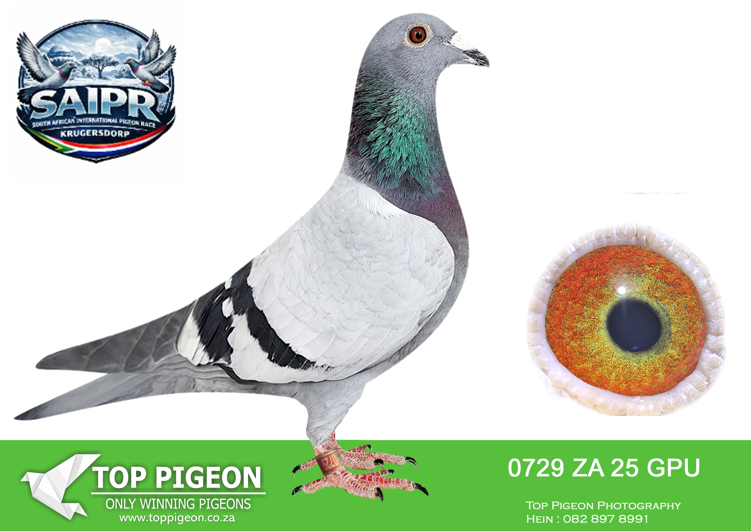 LOT 50 SAIPR WINTER OLR – Willie Munnik-ZA GPU 0729 2025 –