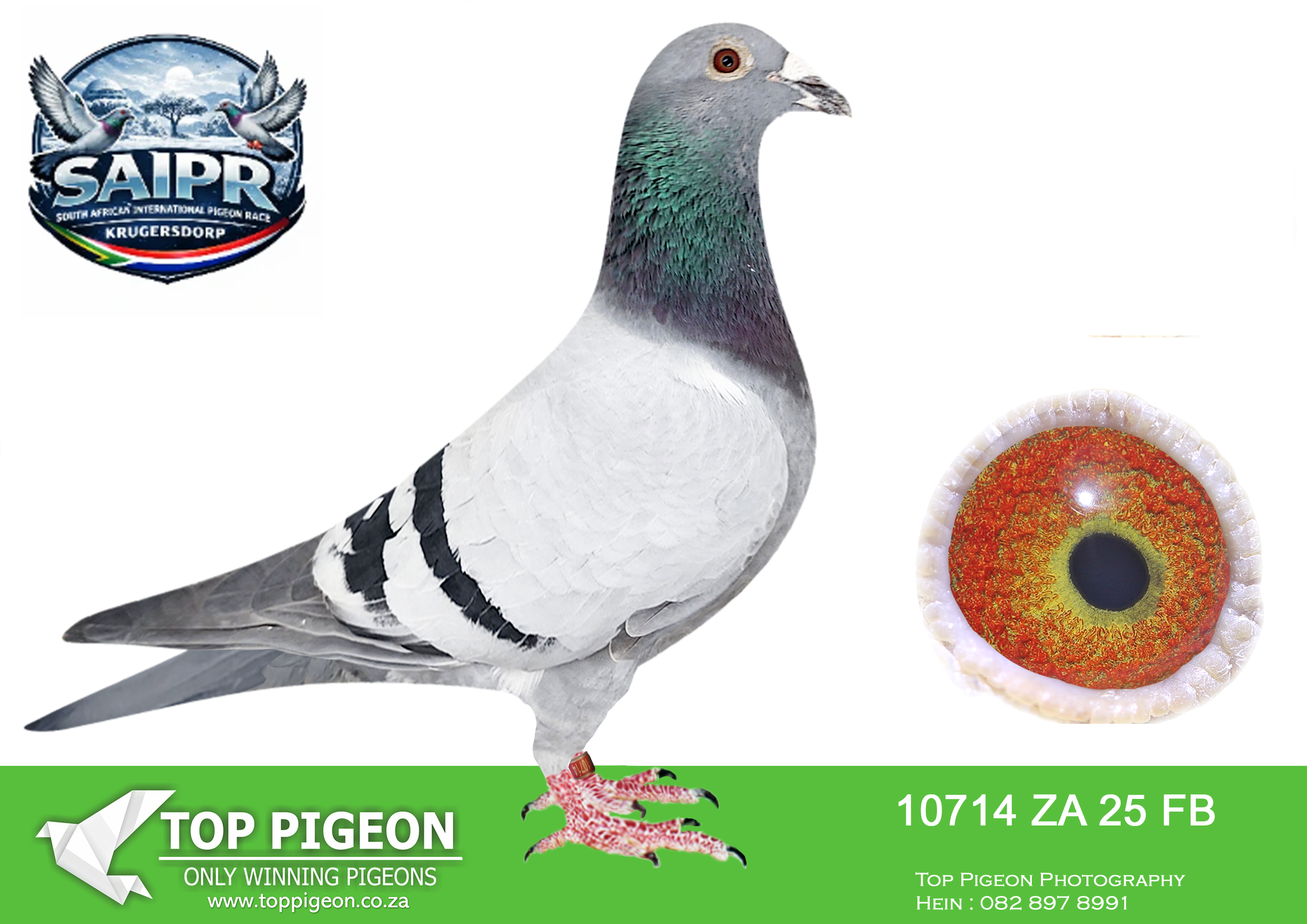 LOT 22 SAIPR WINTER OLR – Len Knoetze 2-FB 10714 2025 –