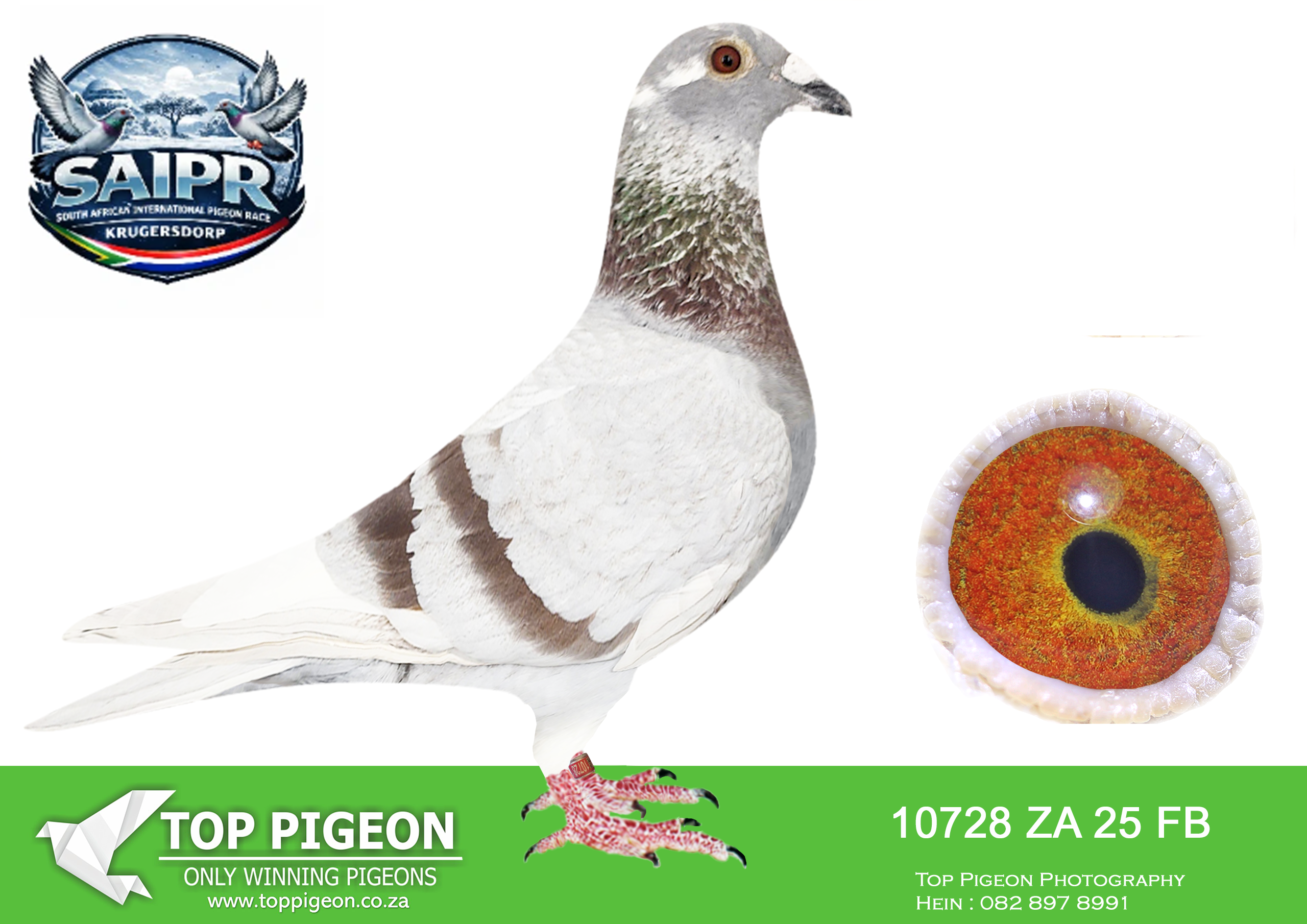 LOT 68 SAIPR WINTER OLR – Len Knoetze 2-FB 10728 2025 –