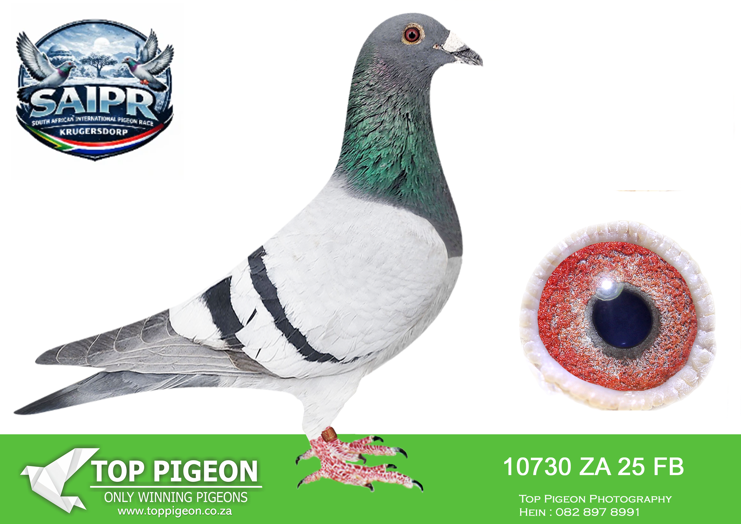 LOT 54 SAIPR WINTER OLR – Len Knoetze 3-FB 10730 2025 –