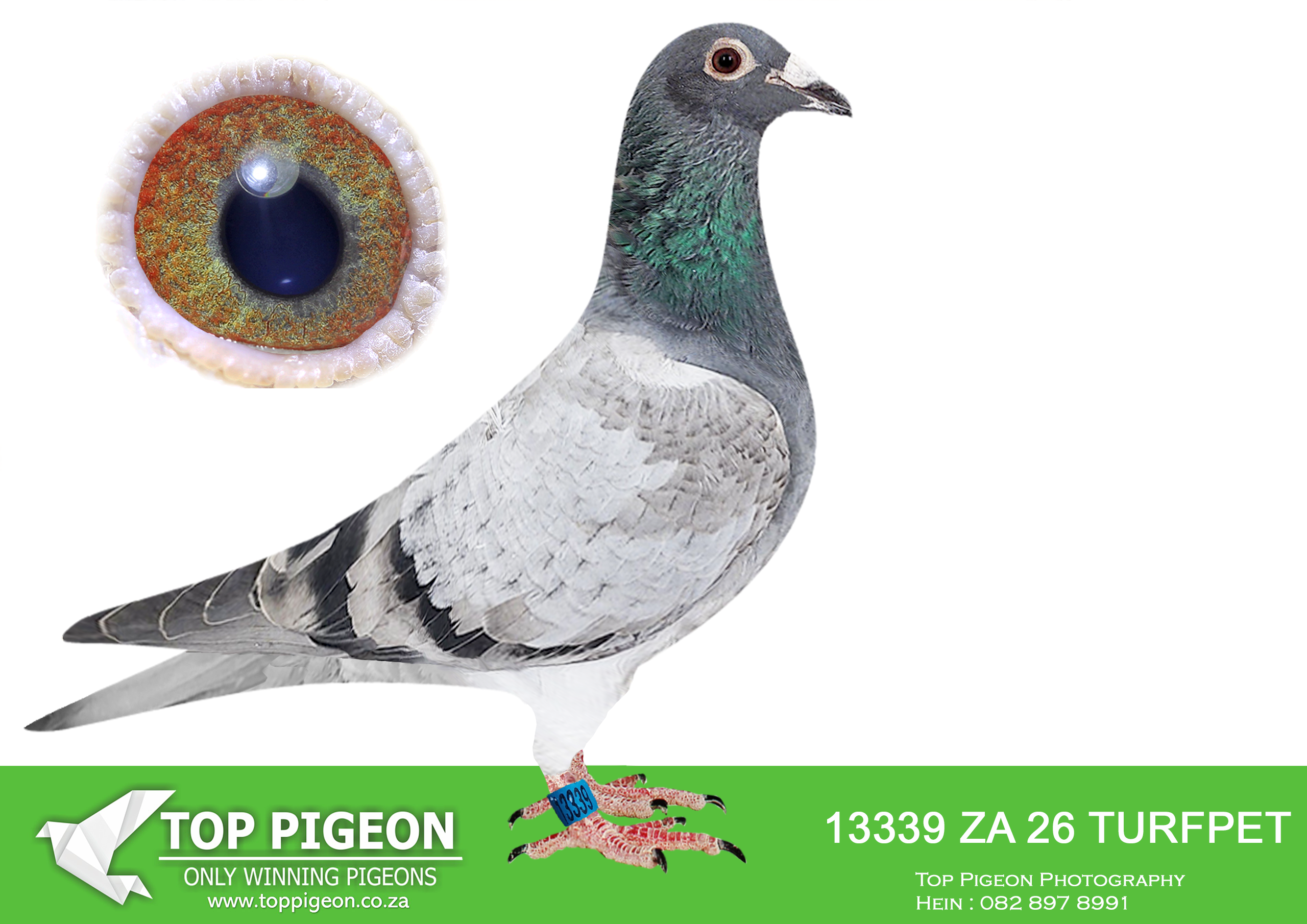 .LOT 1 JACO & DANIE – ZA 26 TURFPET 13339 –