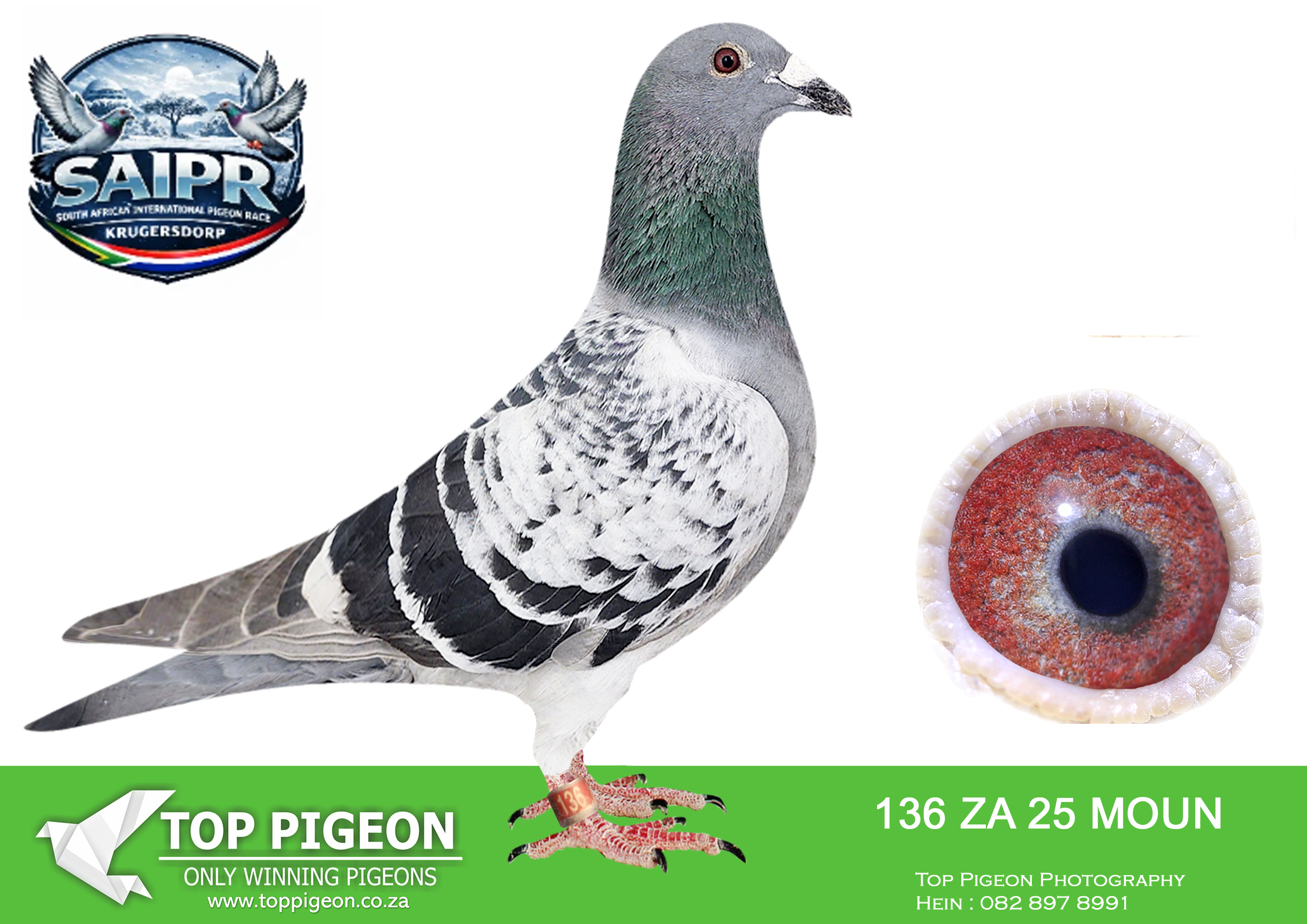 LOT 28 SAIPR WINTER OLR – Jerry Right-ZA MOUN 136 2025 –