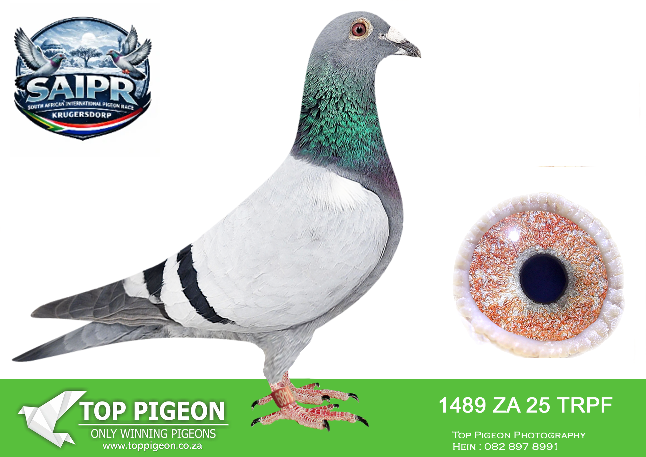ZZ..LOT 139 SAIPR WINTER OLR -Ninja 1-ZA TRPF 1489 2025 –