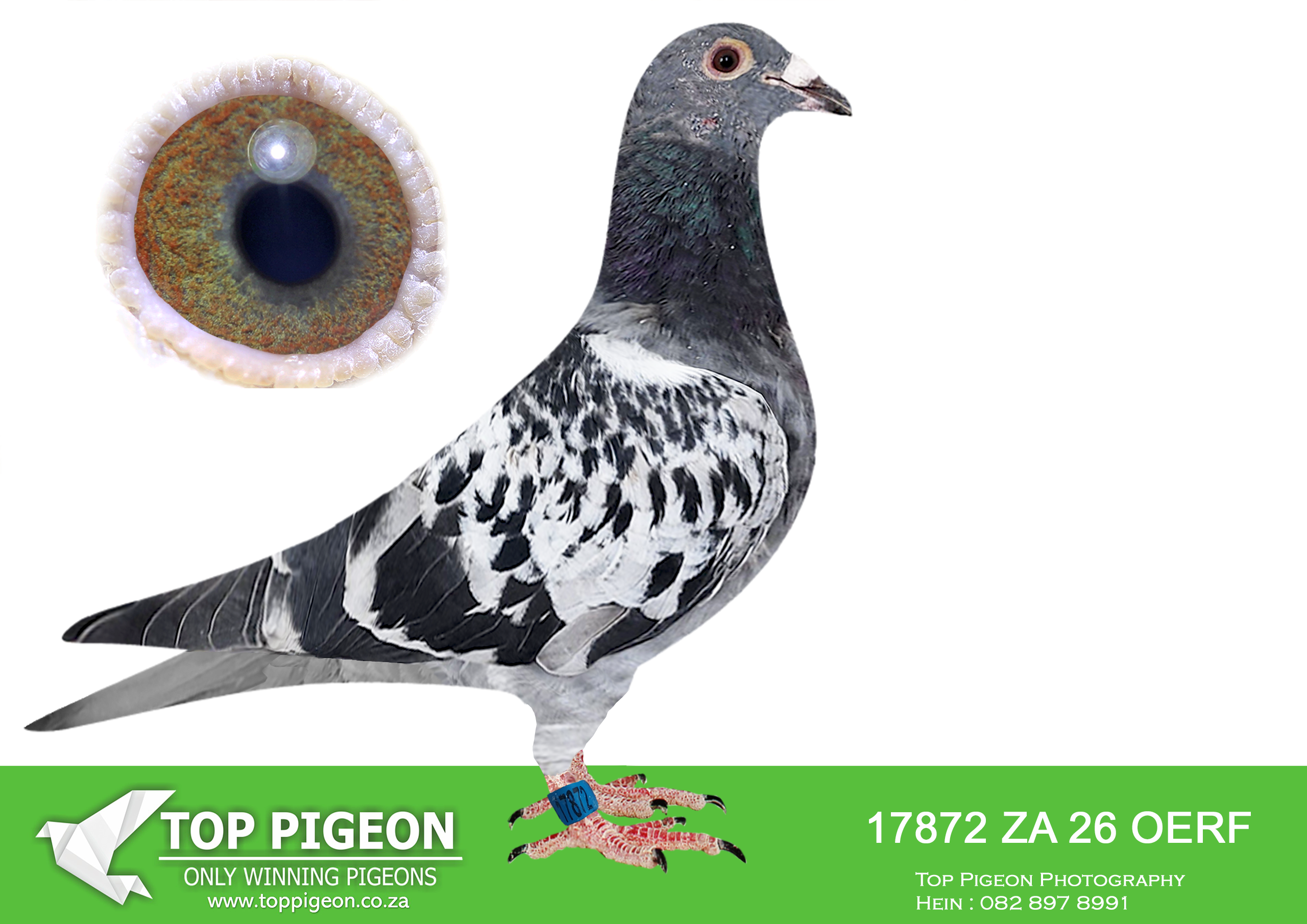 LOT 20 JACO & DANIE – ZA 26 OERF 17872 –