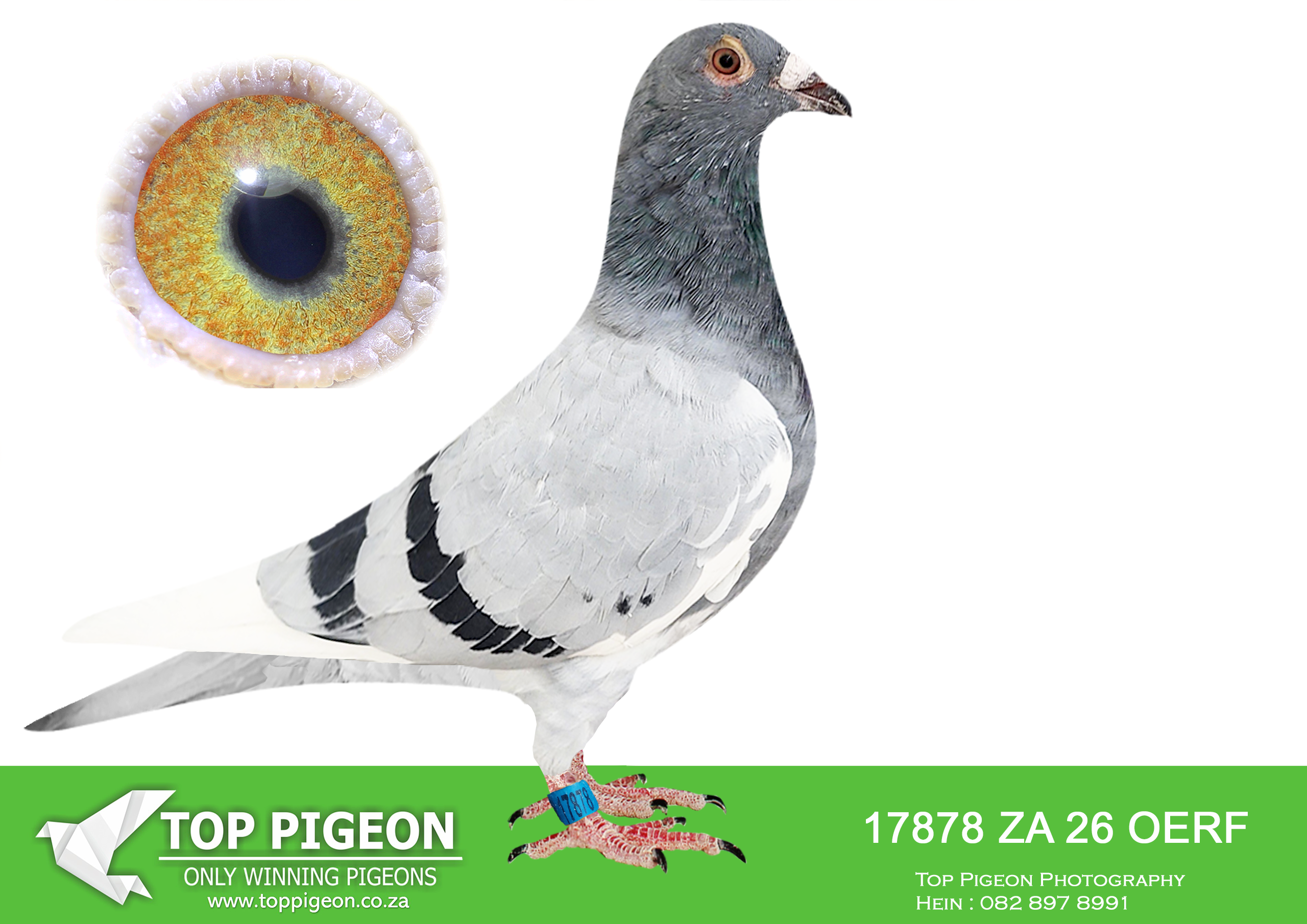 LOT 29 JACO & DANIE – ZA 26 OERF 17878 –