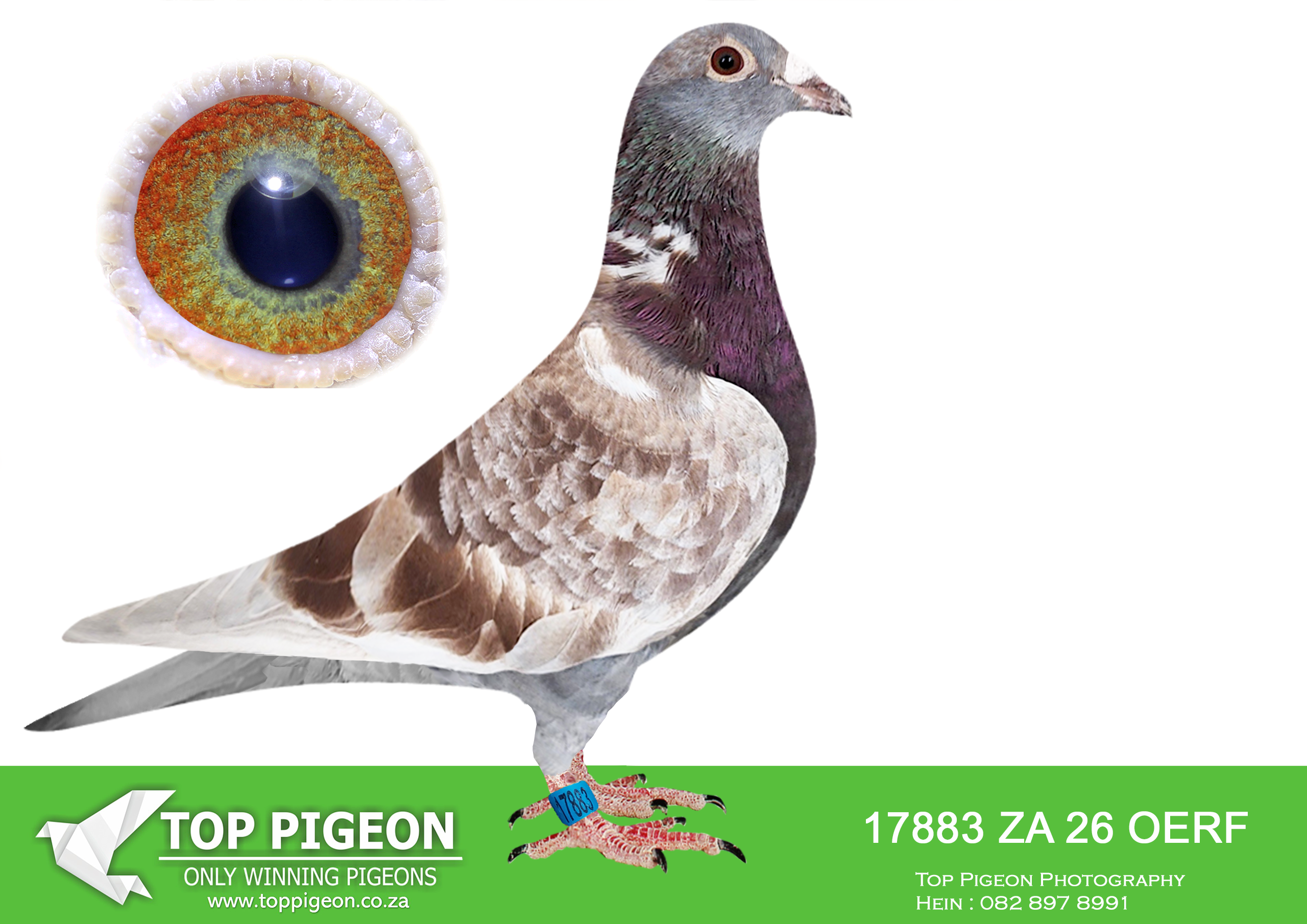 LOT 27 JACO & DANIE – ZA 26 OERF 17883 –