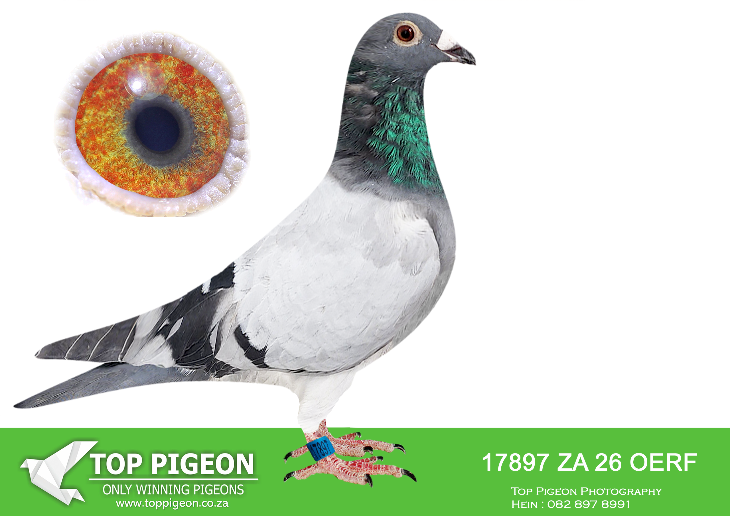 LOT 14 JACO & DANIE – ZA 26 OERF 17897 –