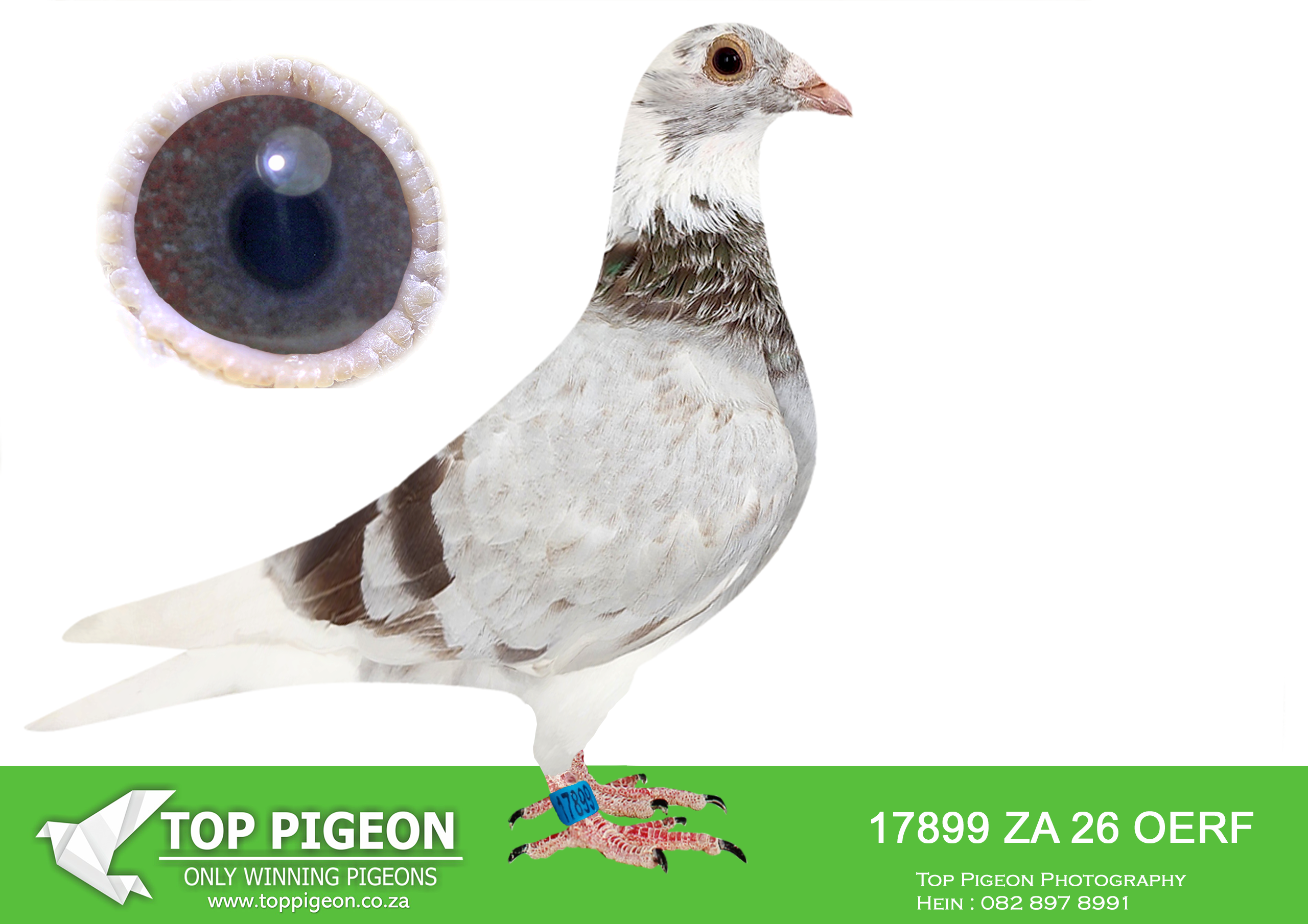 LOT 12 JACO & DANIE – ZA 26 OERF 17899 –