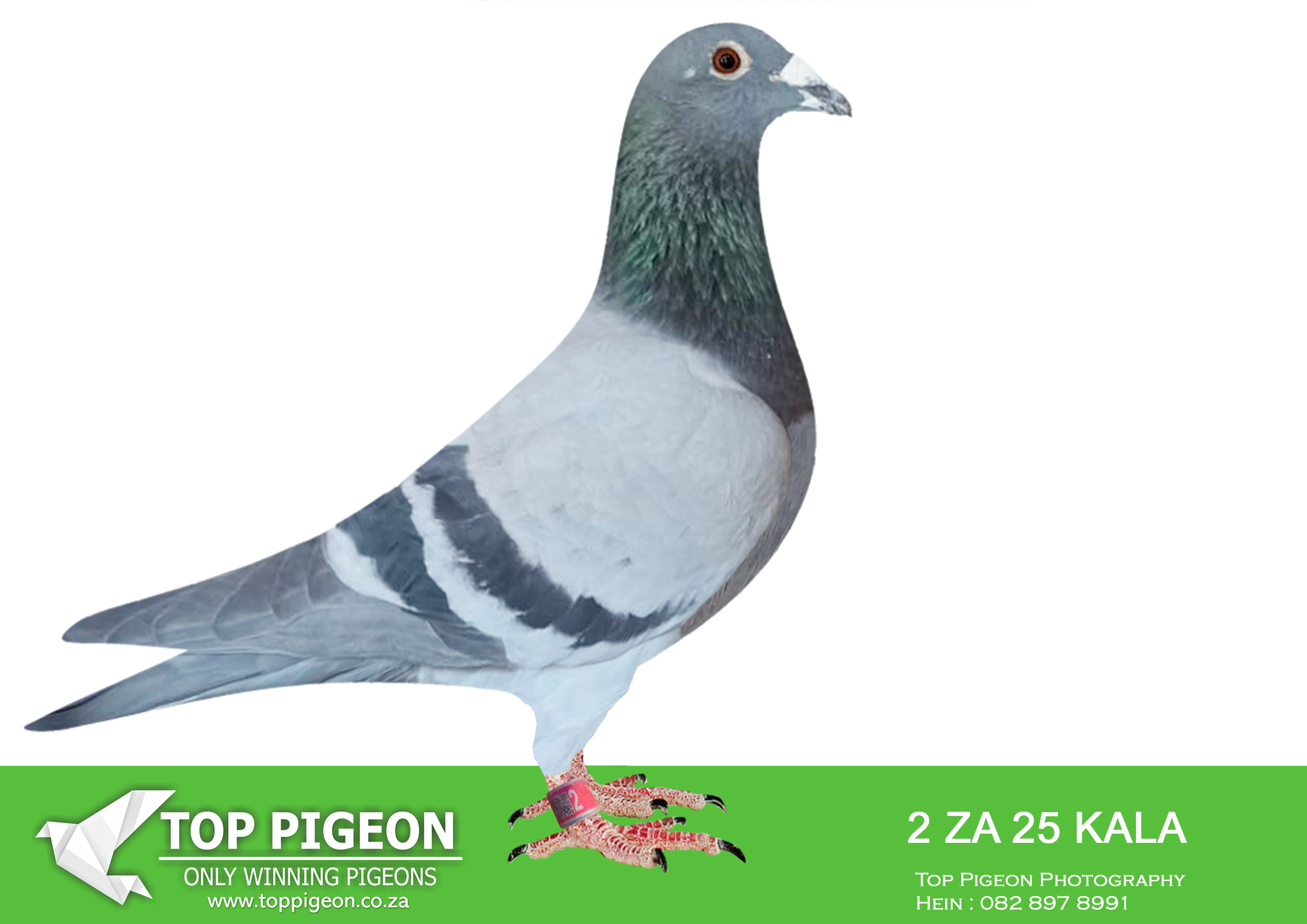 .LOT 8 KALAHARI LOOTS AUCTION 2 – ZA 25 KALAHARI LOOTS 2 –