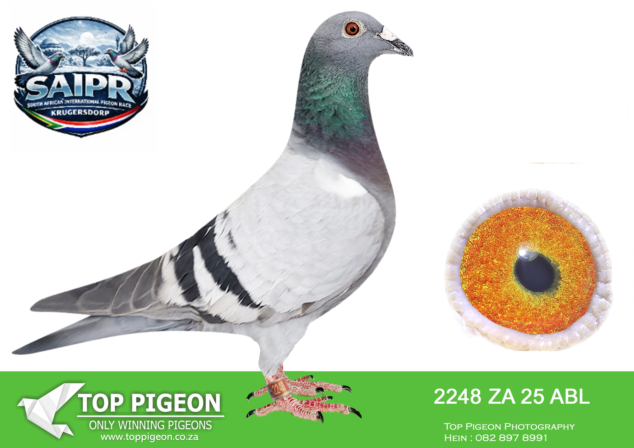 LOT 15 SAIPR WINTER OLR – ALWYN BESTER & IP-ZA ABL 2248 2025 –