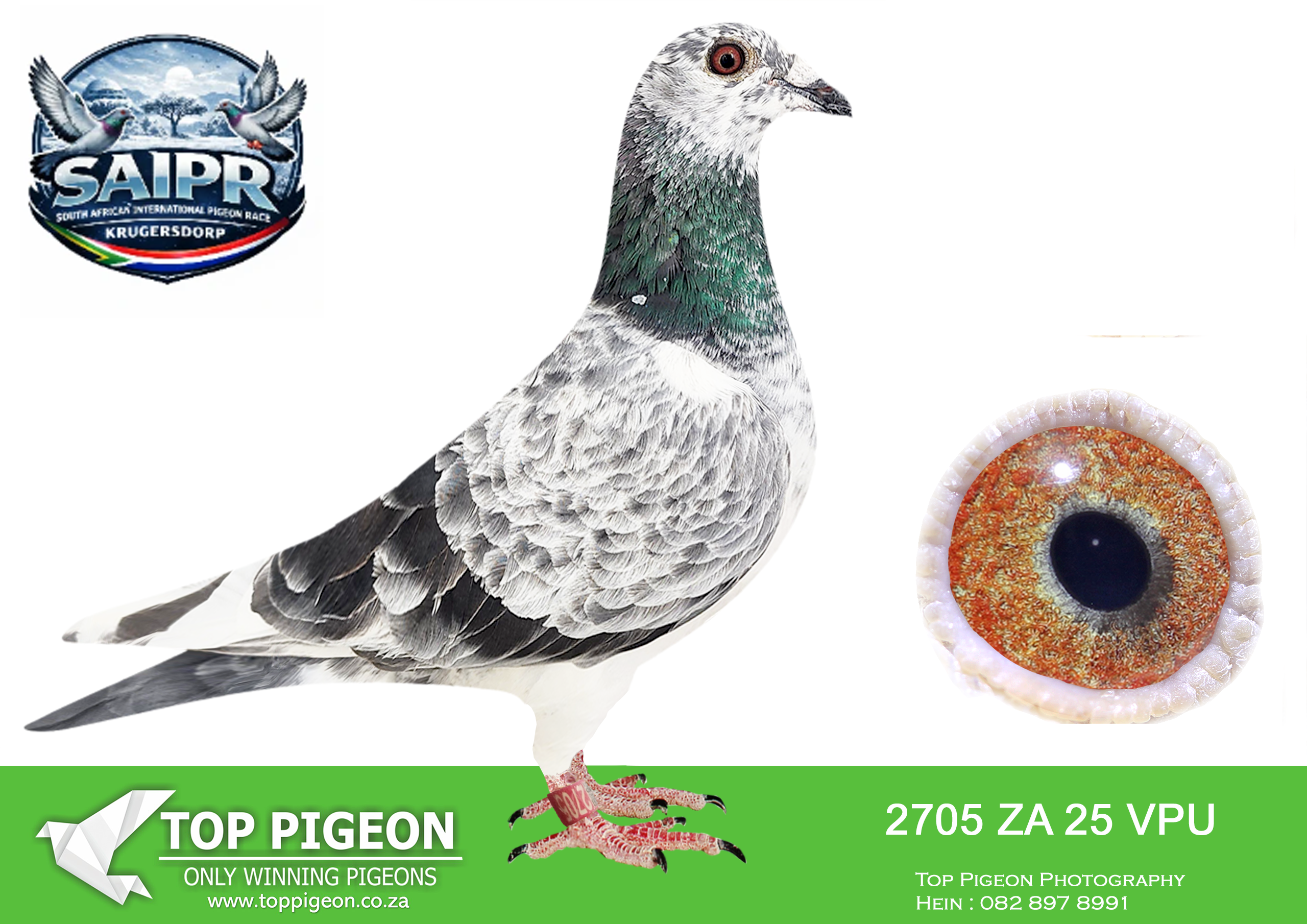 ZZ..LOT 119 SAIPR WINTER OLR -NINJA3-ZA VPU 2705 2025 –
