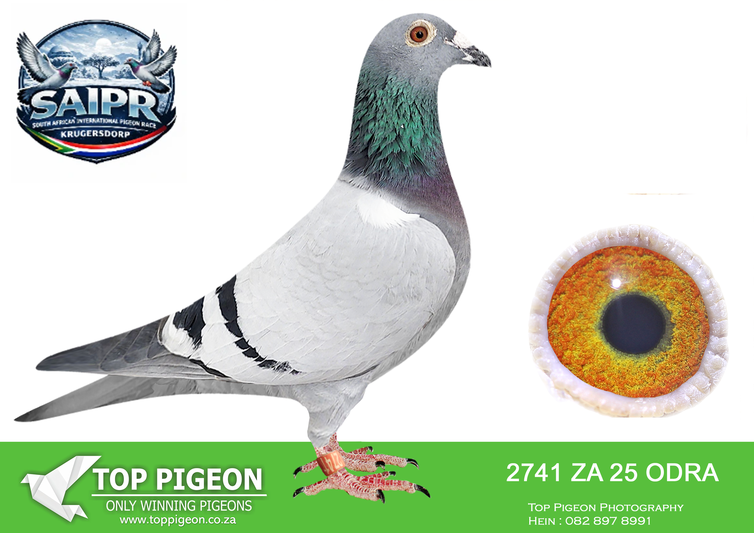 LOT 14 SAIPR WINTER OLR – Andre & Juan 2-ZA ODRA 2741 2025 –
