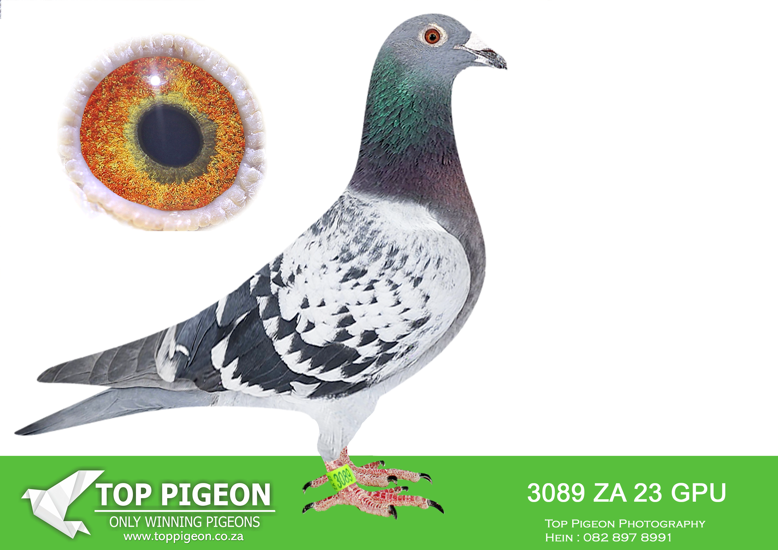 LOT 23 JACO & DANIE – ZA 23 GPU 3089 –