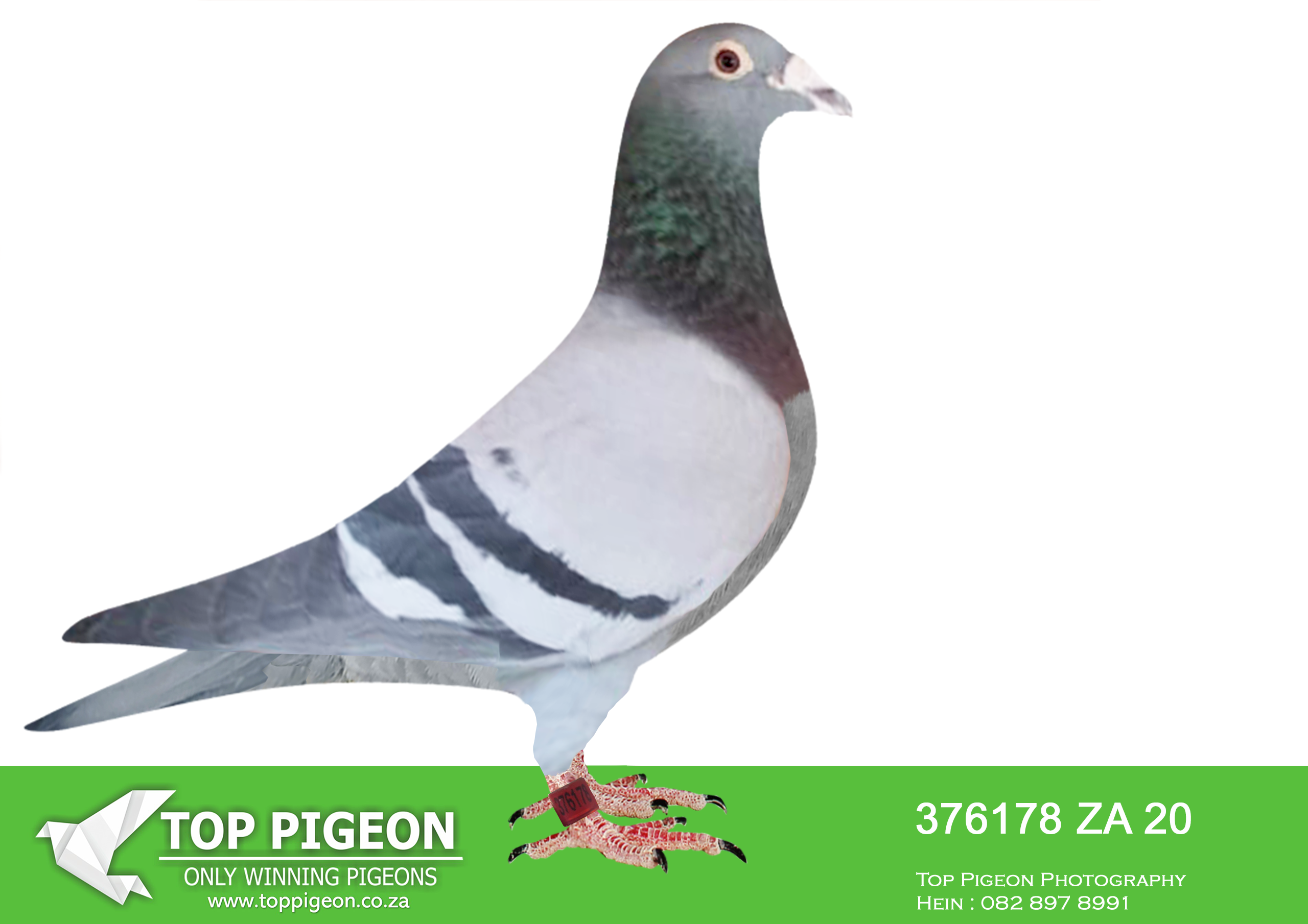 LOT 27 KALAHARI LOOTS AUCTION 2 – ZA 20 376178 –