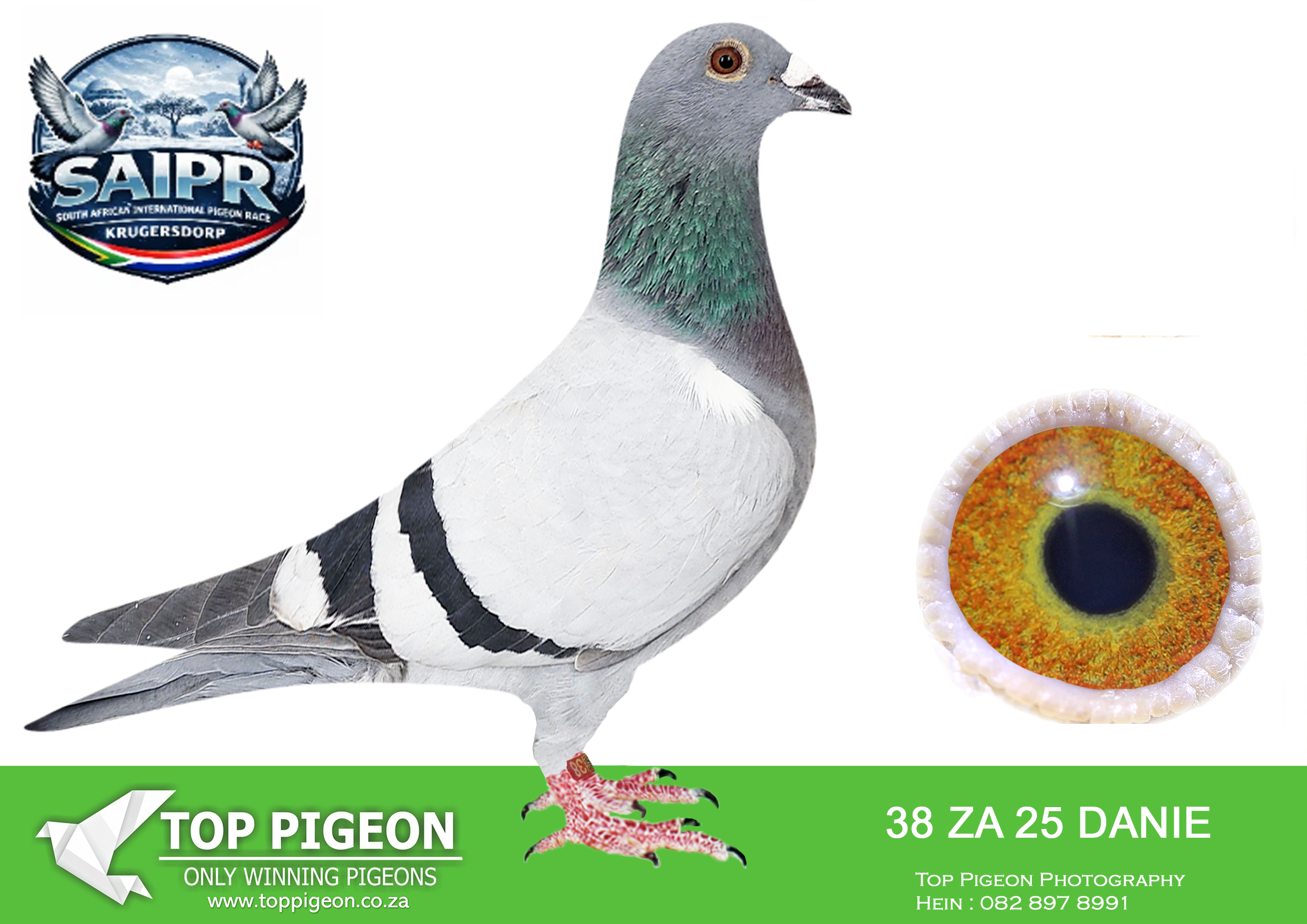 LOT 12 SAIPR WINTER OLR – Danie Erasmus-DANIE ERASMUS 38 2025 –