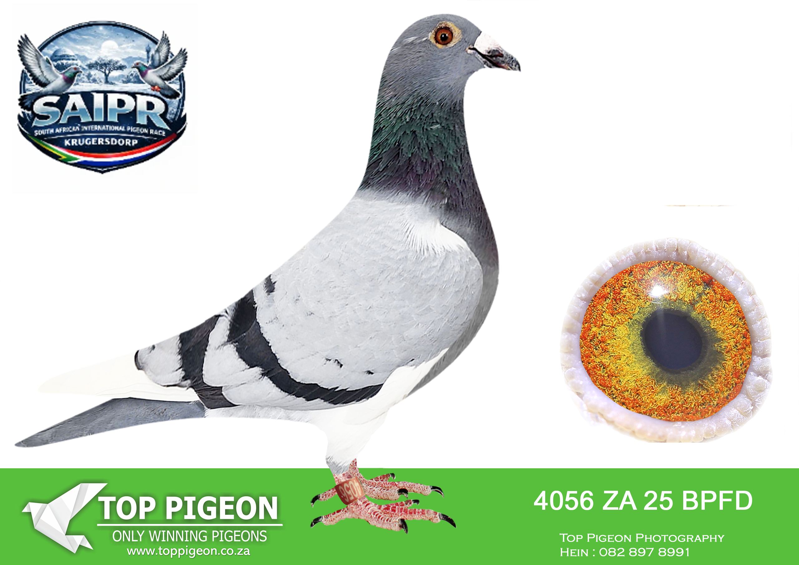 LOT 23 SAIPR WINTER OLR – JJJ v/d Linde & Ben van Rooyen-BPFD 4056 2025 –