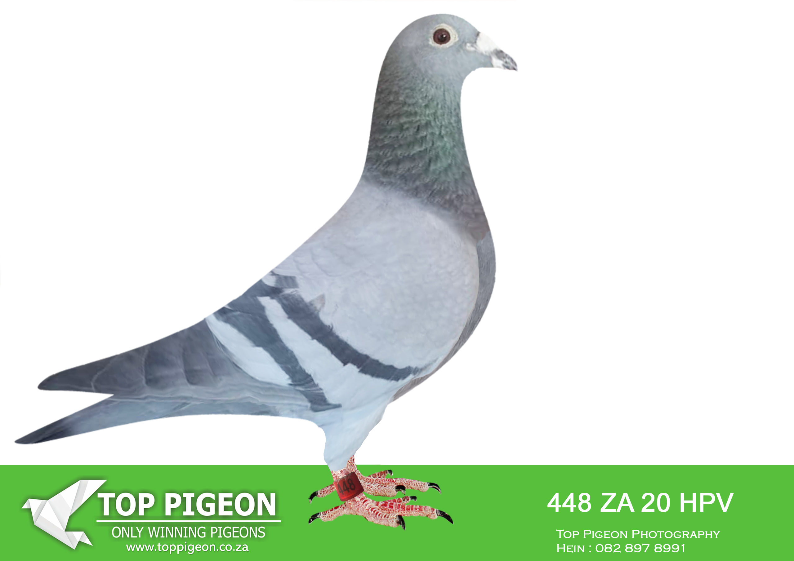 LOT 16 KALAHARI LOOTS AUCTION 2 – ZA 20 HPV 448 –