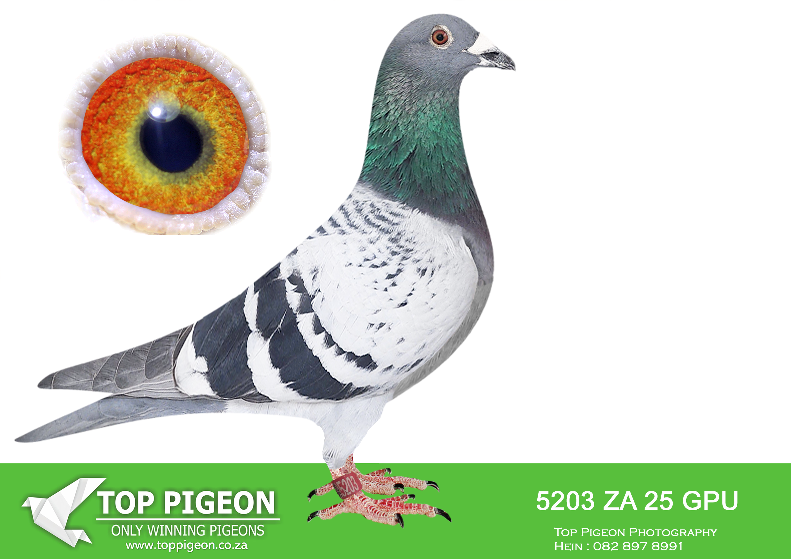 LOT 24 JACO & DANIE – ZA 25 GPU 5203 –