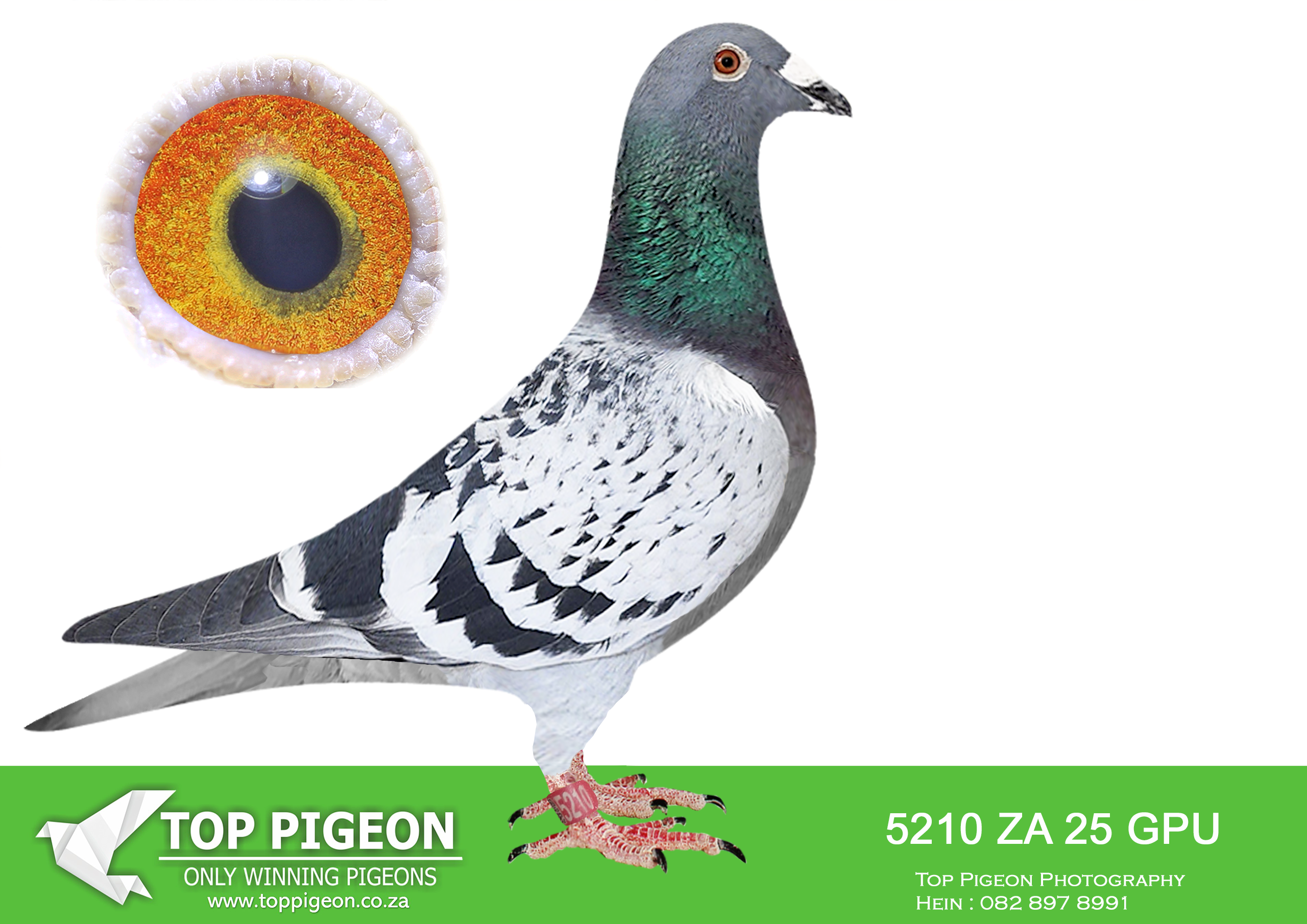 LOT 25 JACO & DANIE – ZA 25 GPU 5210 –