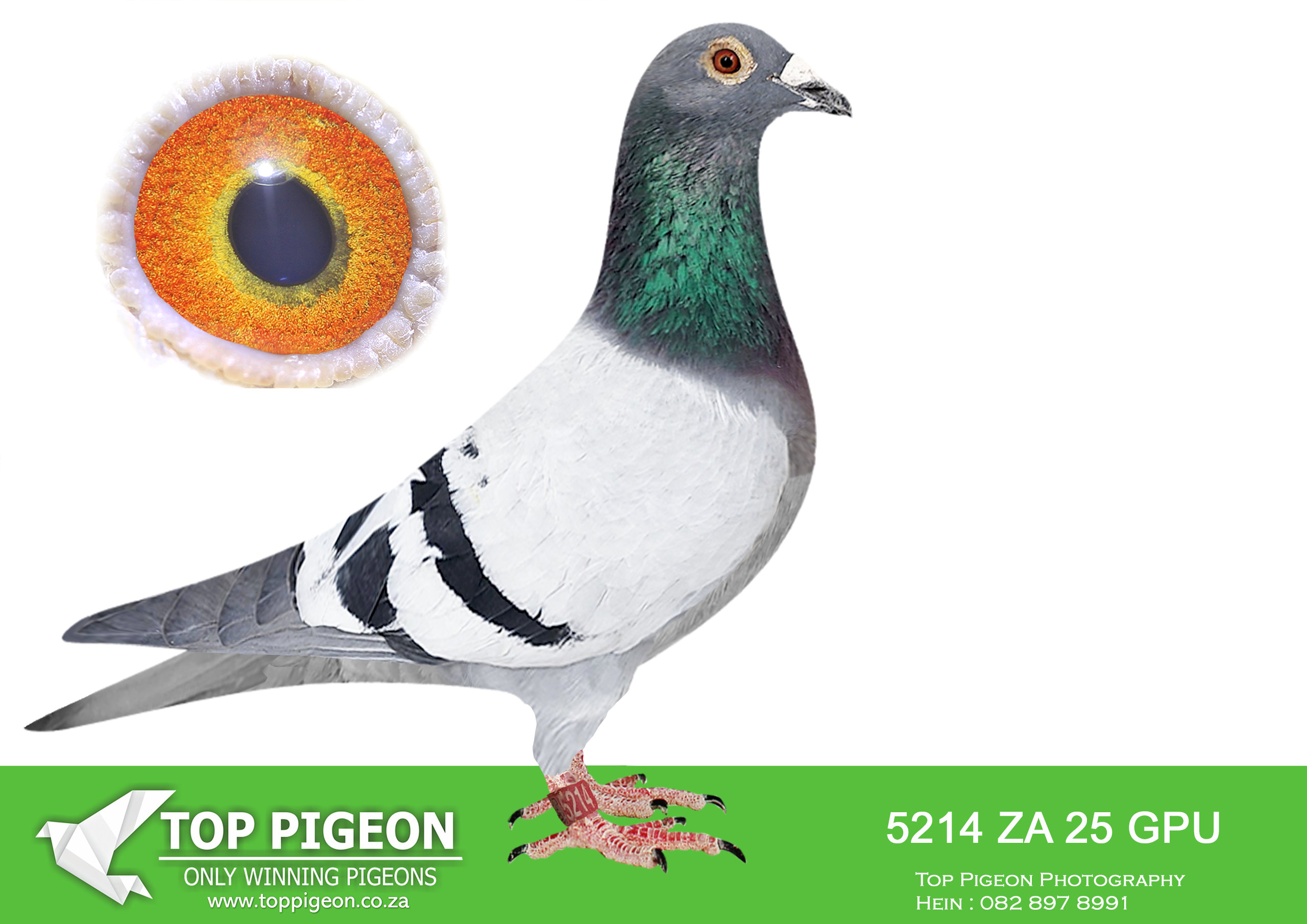 LOT 26 JACO & DANIE – ZA 25 GPU 5214 –