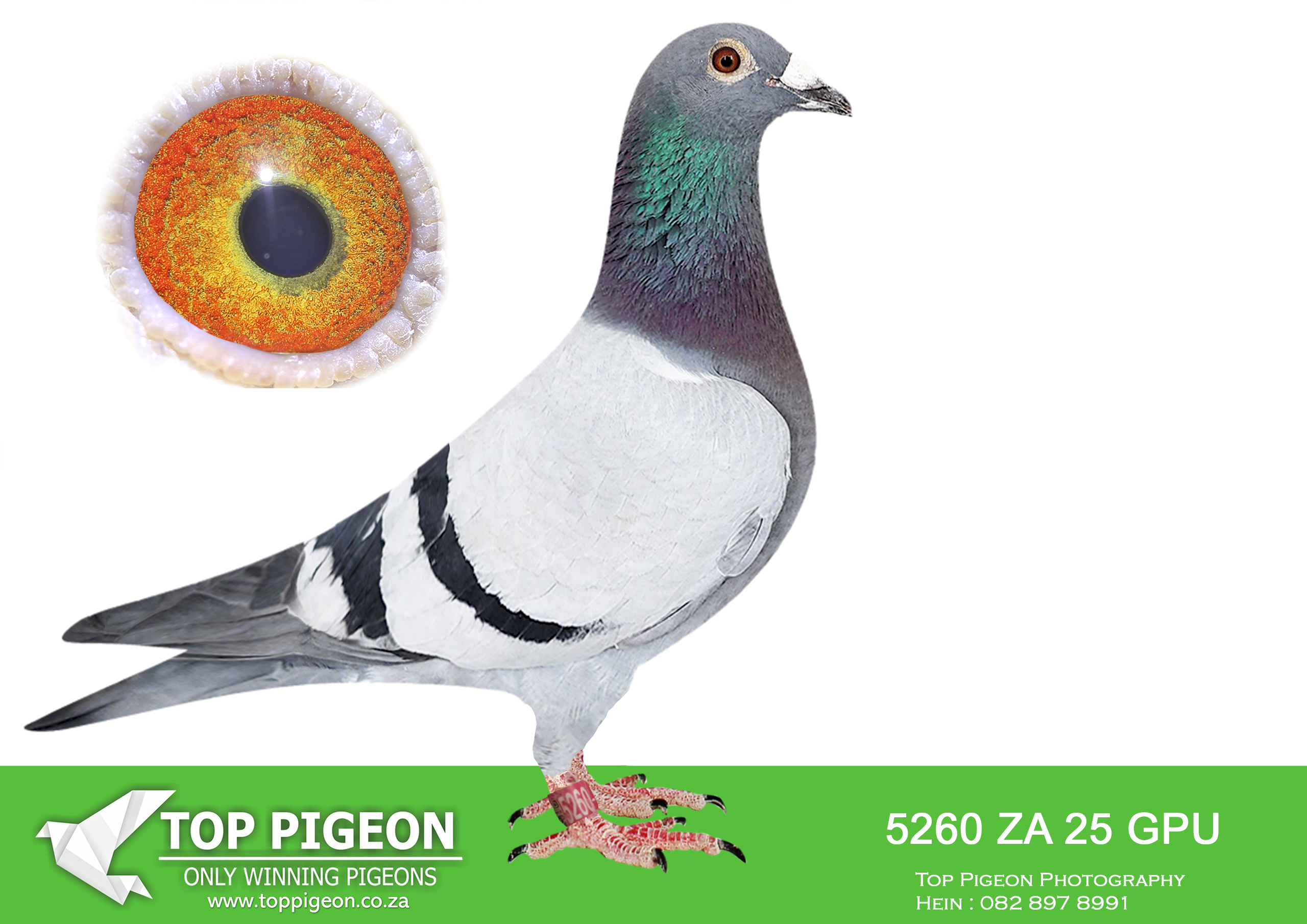 .LOT 9 JACO & DANIE – ZA 25 GPU 5260 –