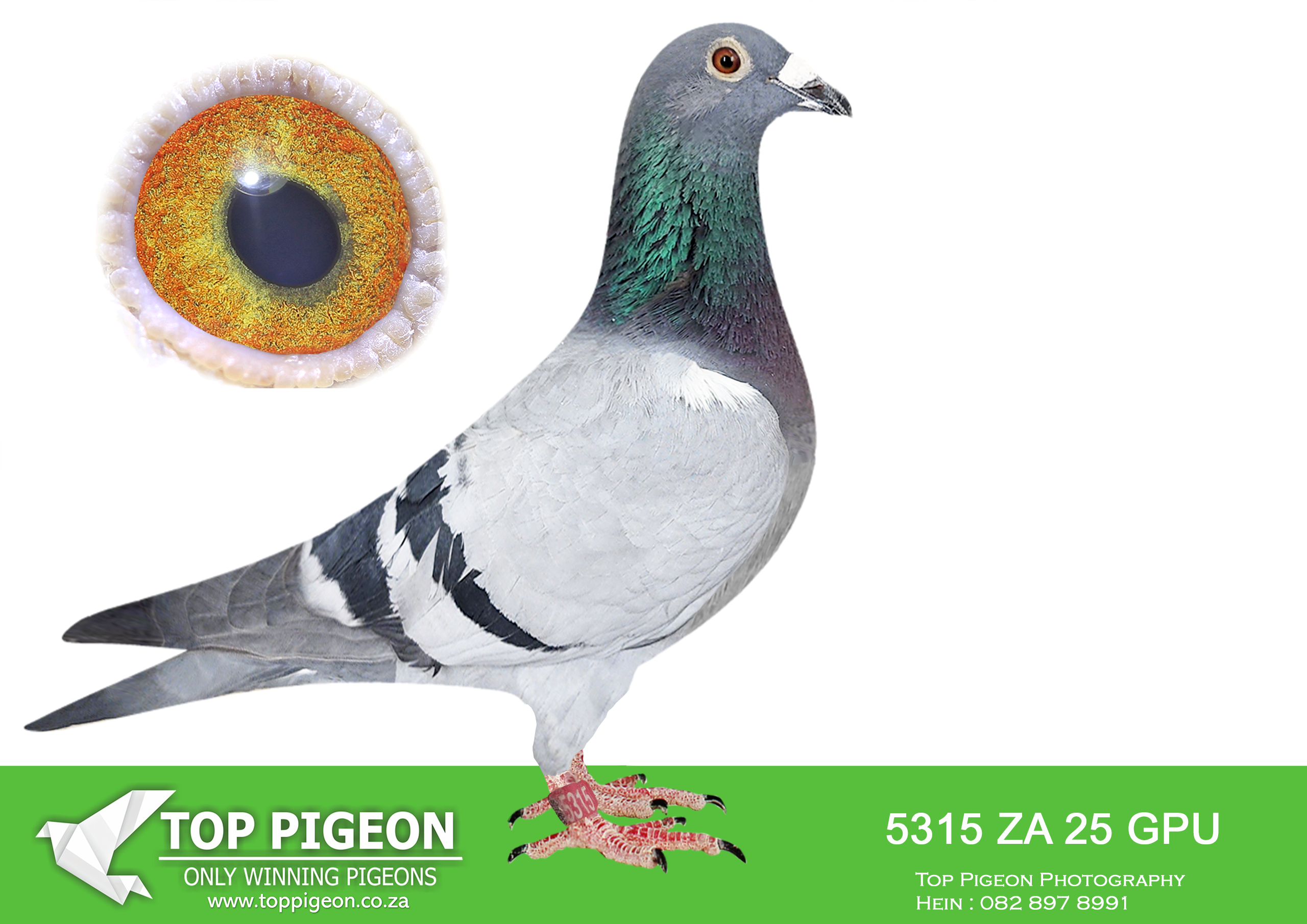 .LOT 8 JACO & DANIE – ZA 25 GPU 5315 –