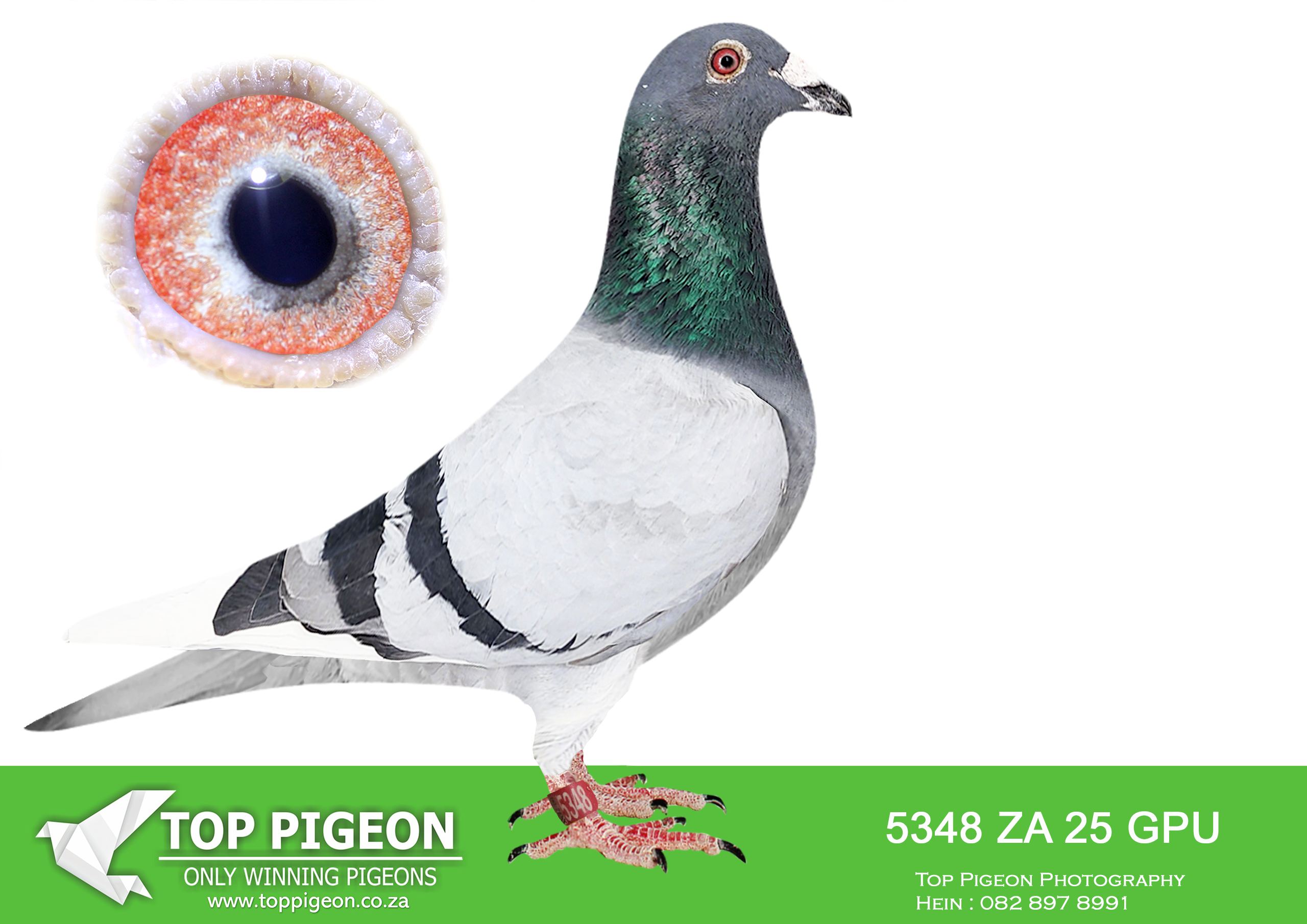 LOT 17 JACO & DANIE – ZA 25 GPU 5348 –