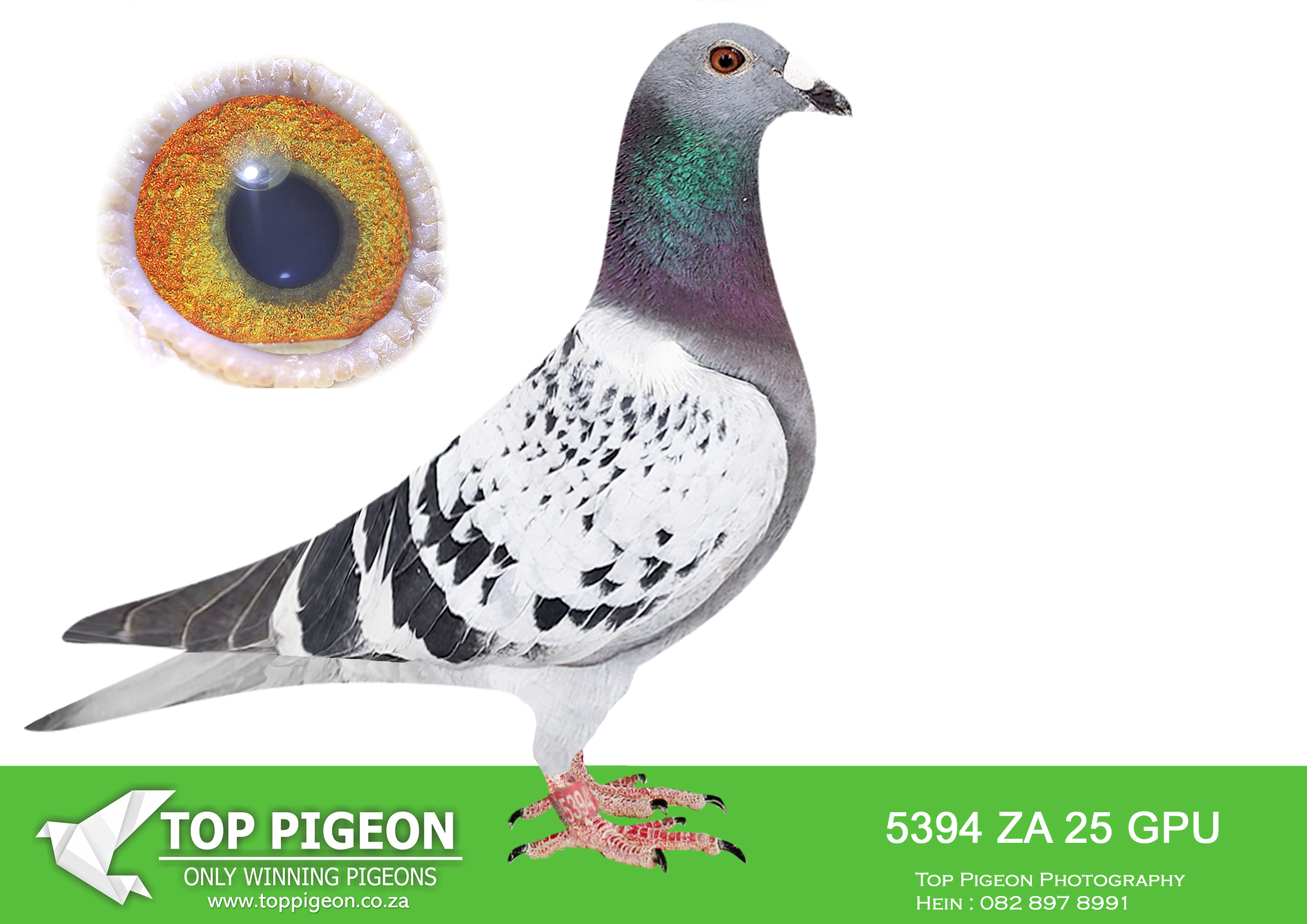 .LOT 7 JACO & DANIE – ZA 25 GPU 5394 –