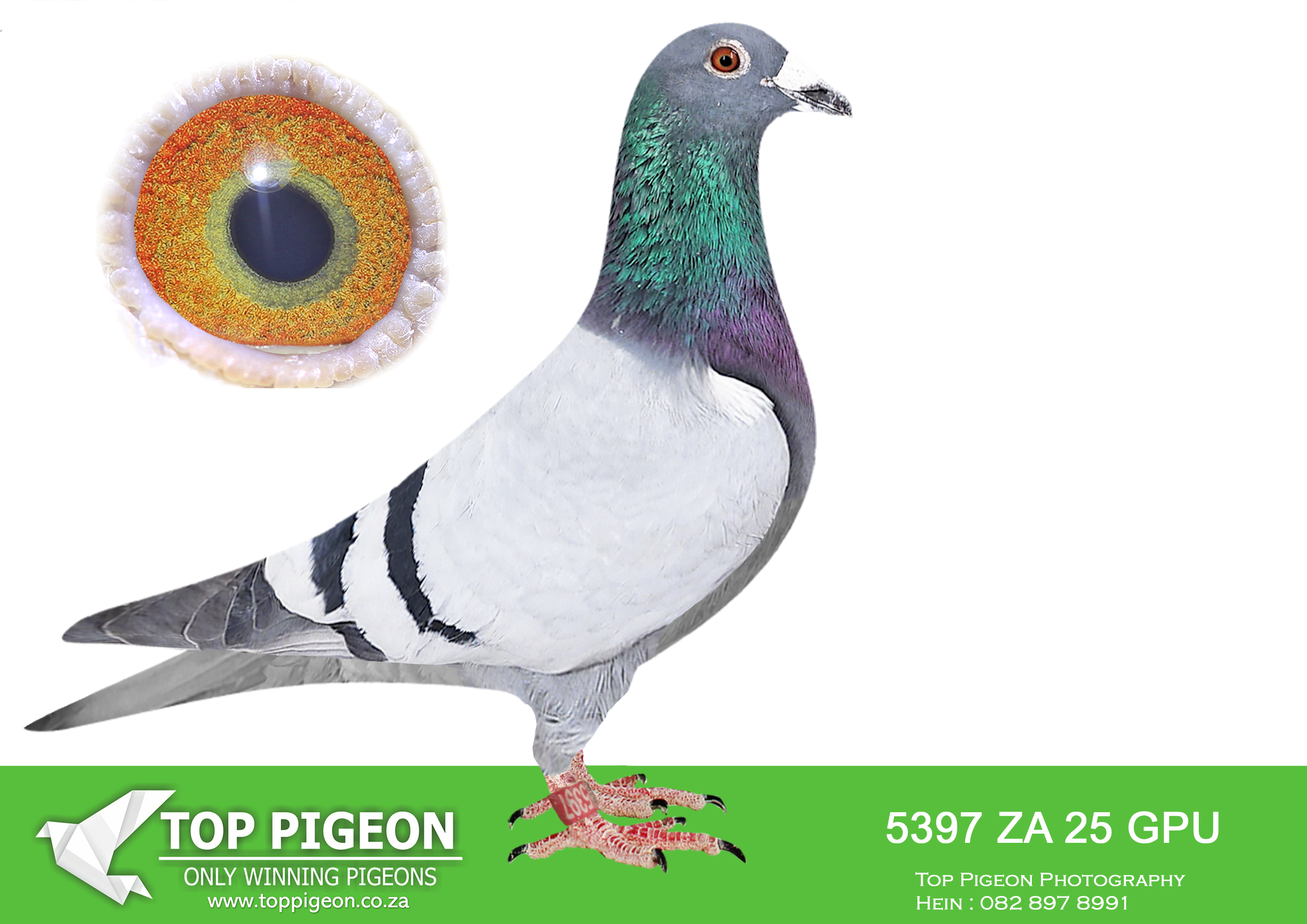 LOT 15 JACO & DANIE – ZA 25 GPU 5397 –