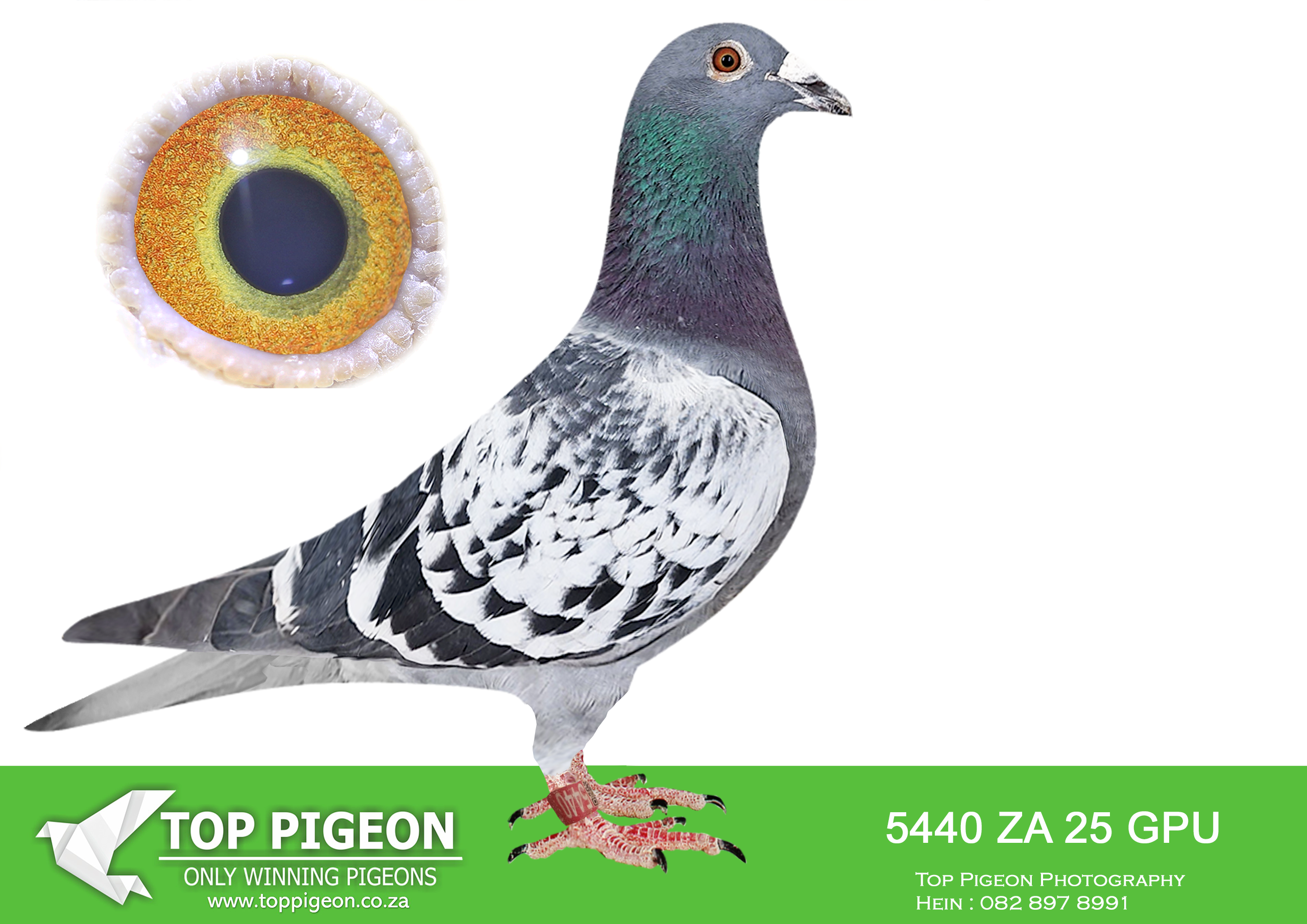 .LOT 6 JACO & DANIE – ZA 25 GPU 5440 –