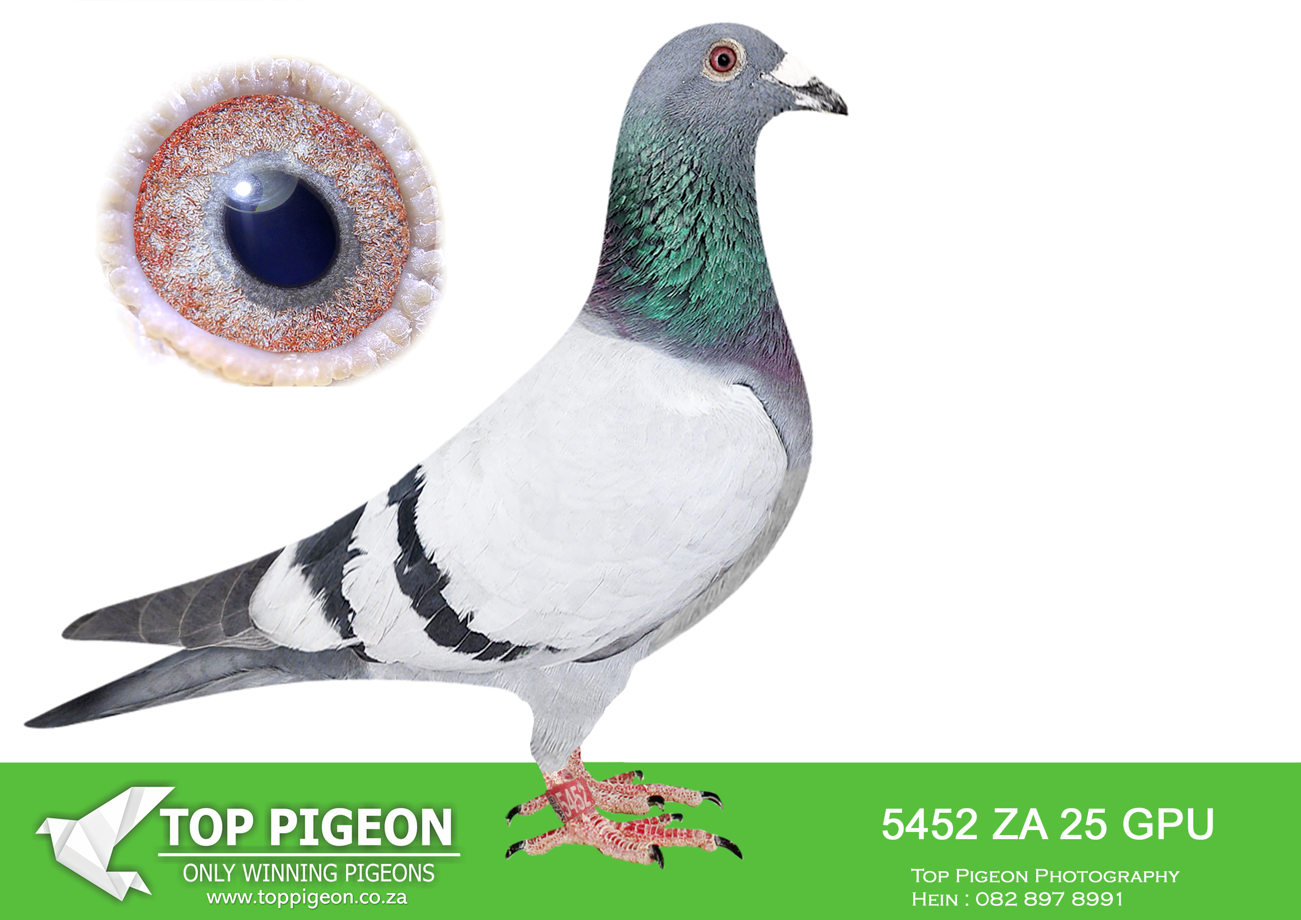 .LOT 2 JACO & DANIE – ZA 25 GPU 5452 –