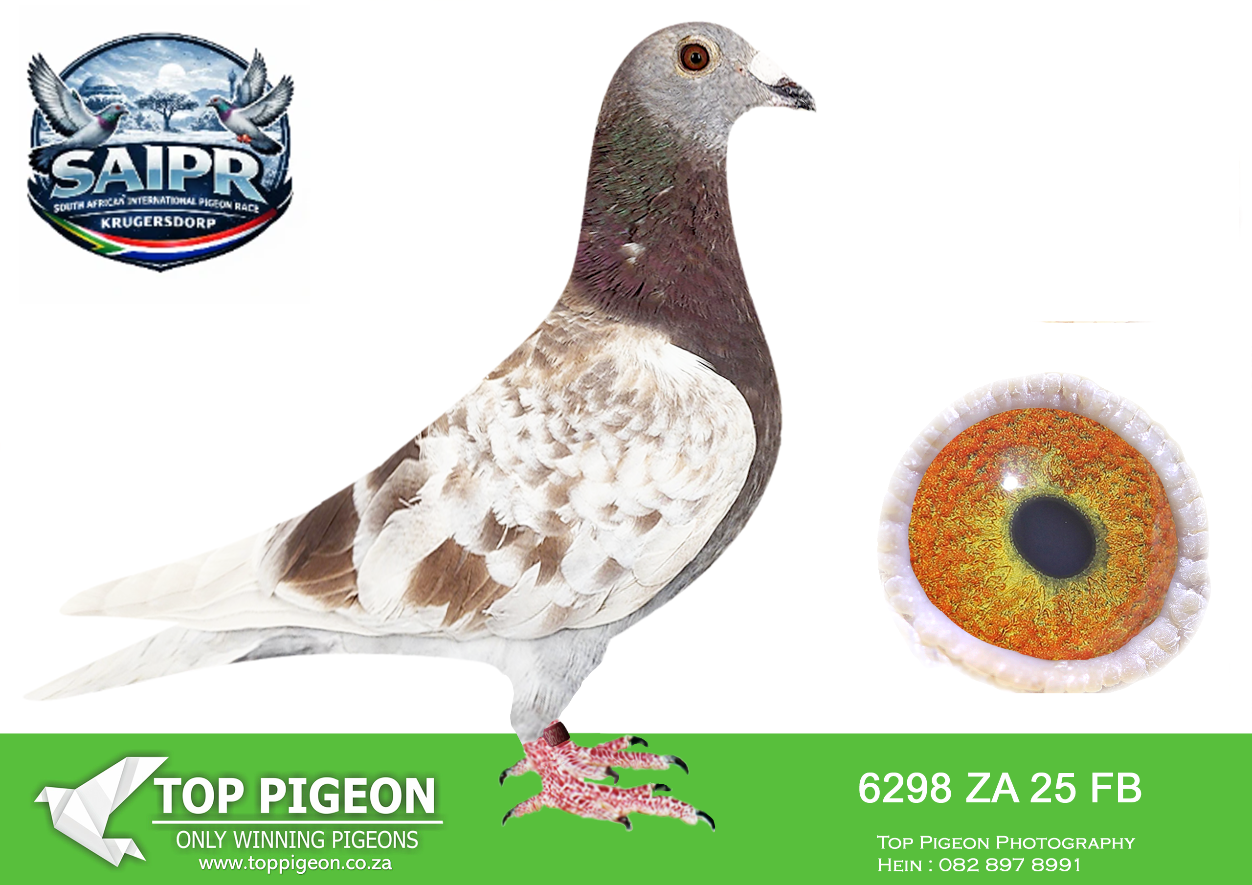 .LOT 8 SAIPR WINTER OLR – VERMEULEN LOFT-ZA FB 6298 2025 –