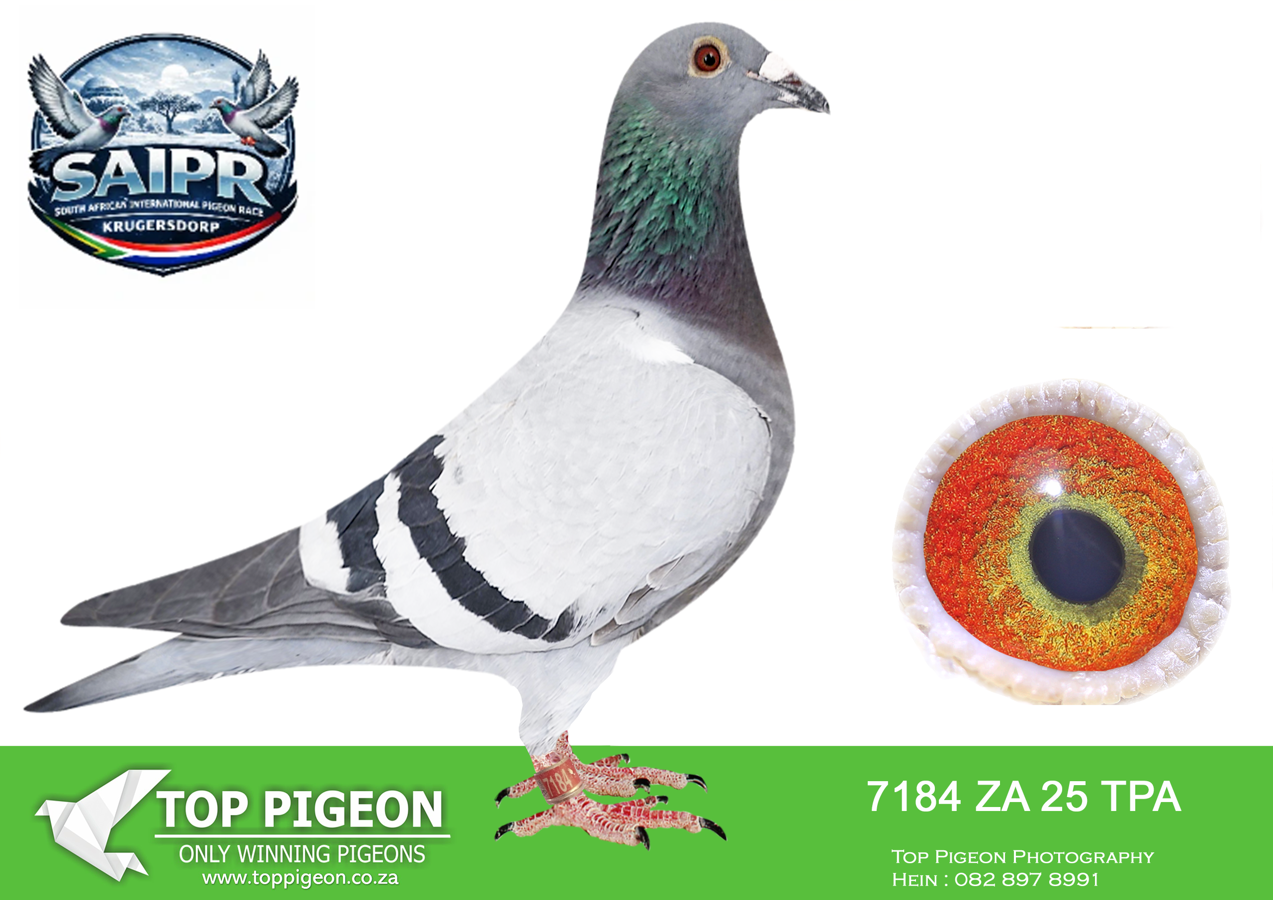 LOT 48 SAIPR WINTER OLR – Gys Louw 2-TPA 7184 2025 –