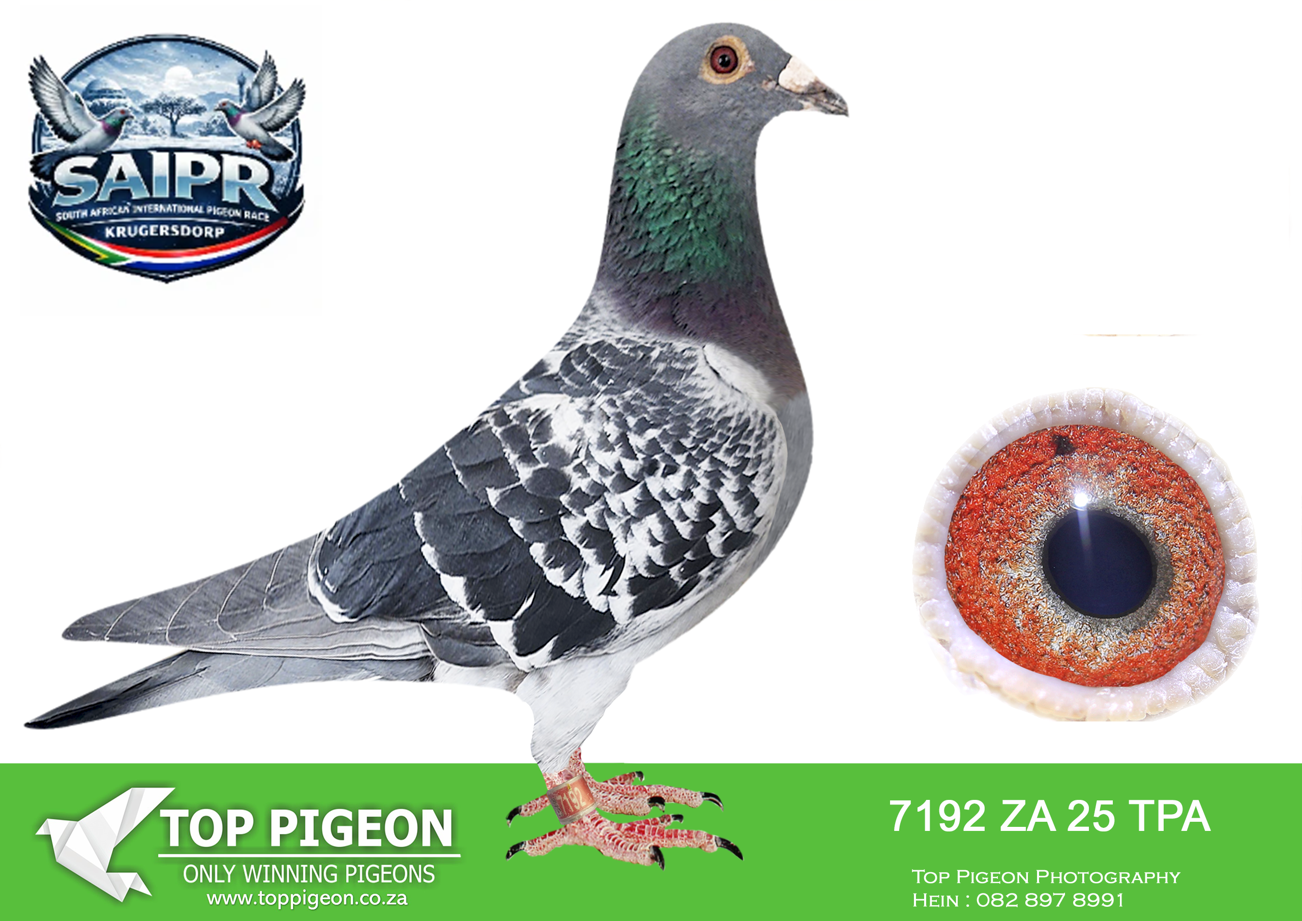 LOT 75 SAIPR WINTER OLR – Gys Louw 2-TPA 7192 2025 –