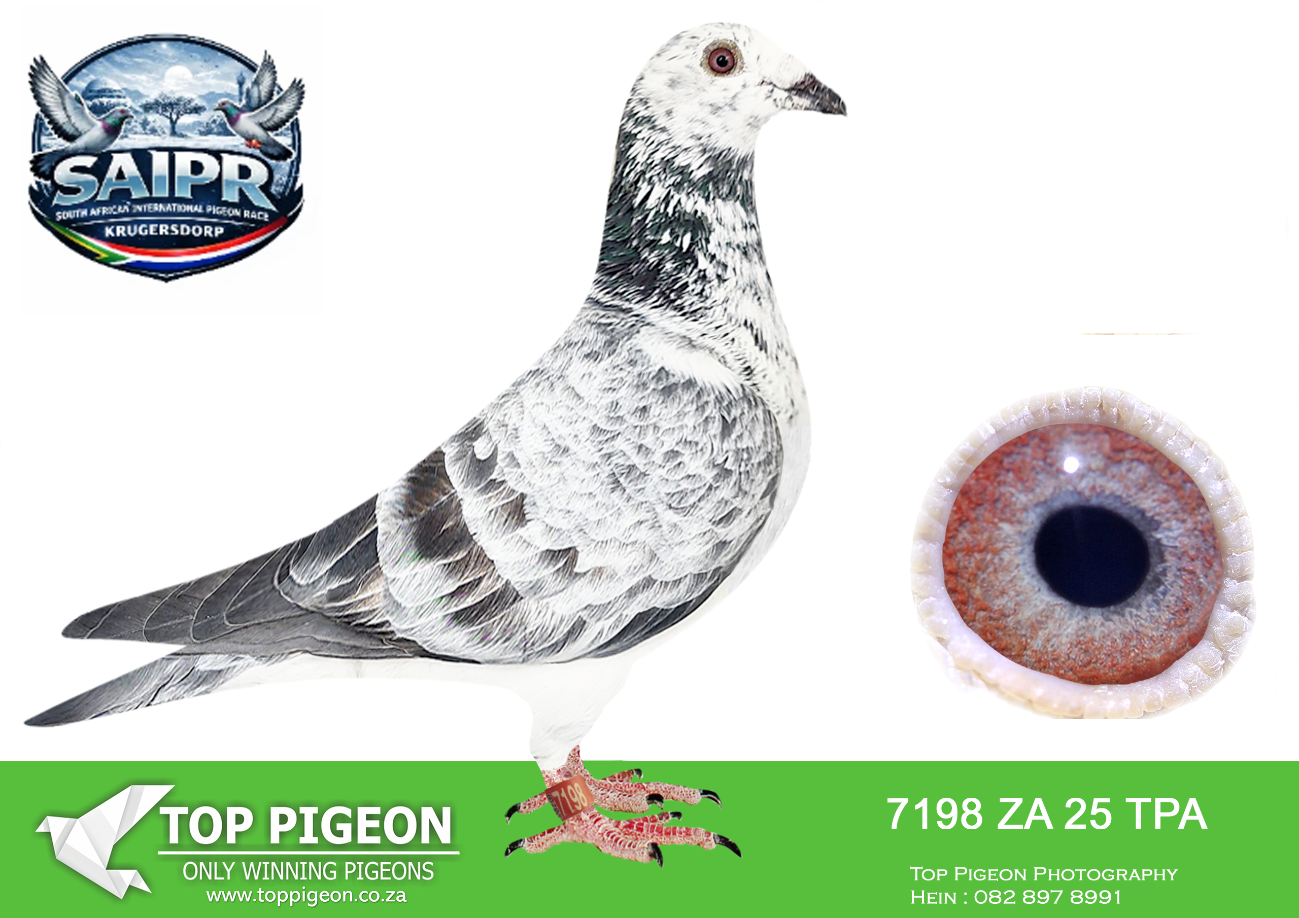 LOT 30 SAIPR WINTER OLR – Gys Louw 1-TPA 7198 2025##### –