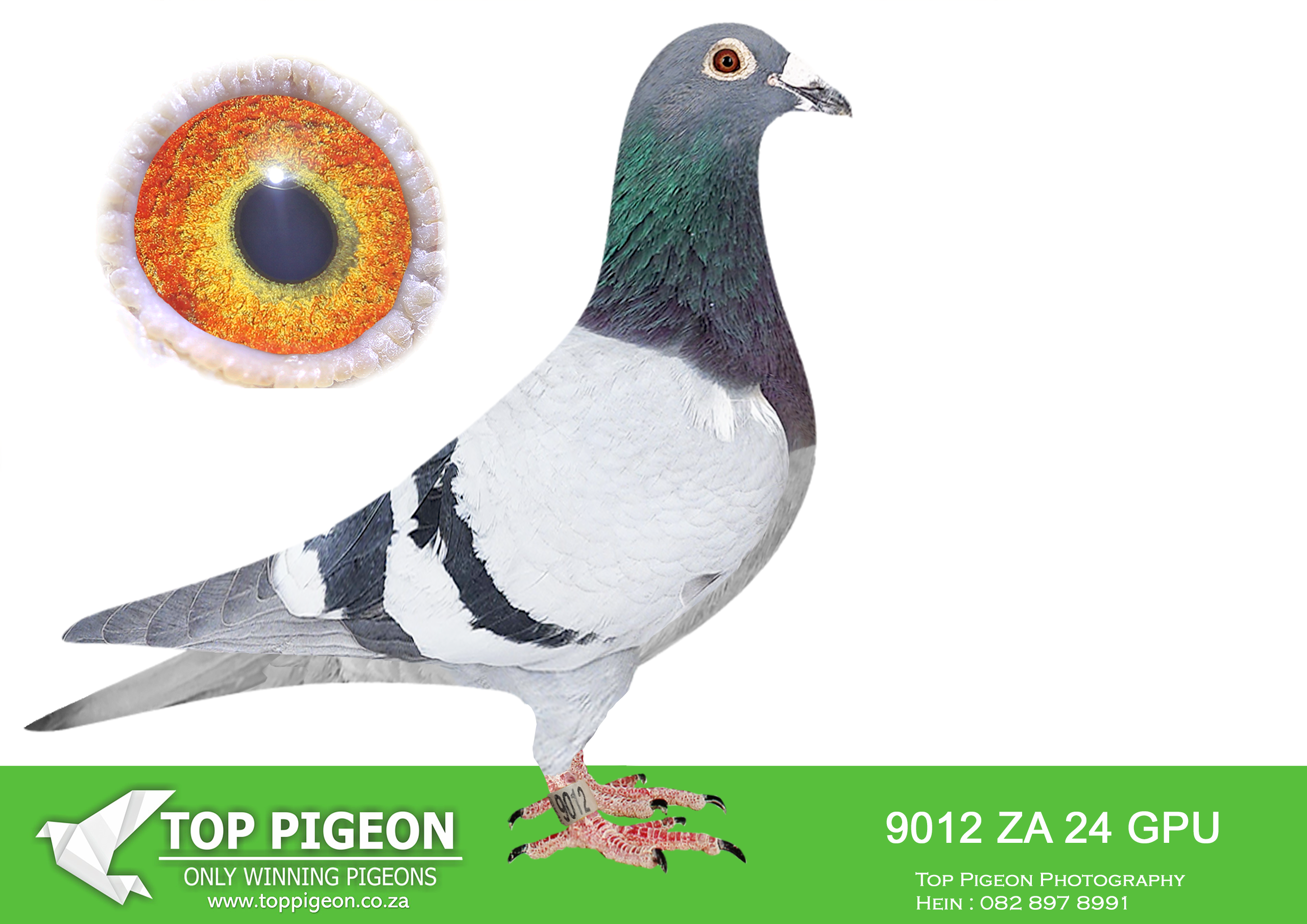 LOT 19 JACO & DANIE – ZA 24 GPU 9012 –