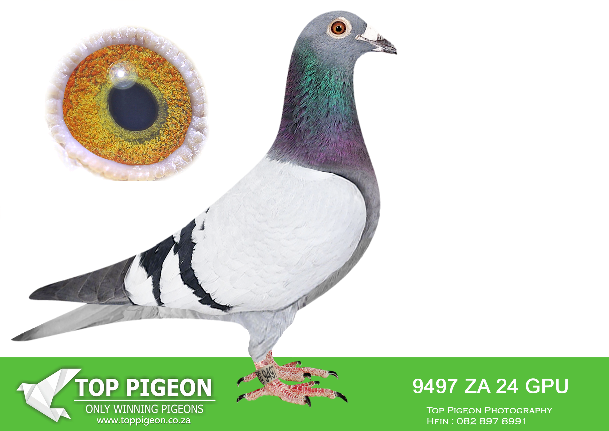 LOT 22 JACO & DANIE – ZA 24 GPU 9497 –