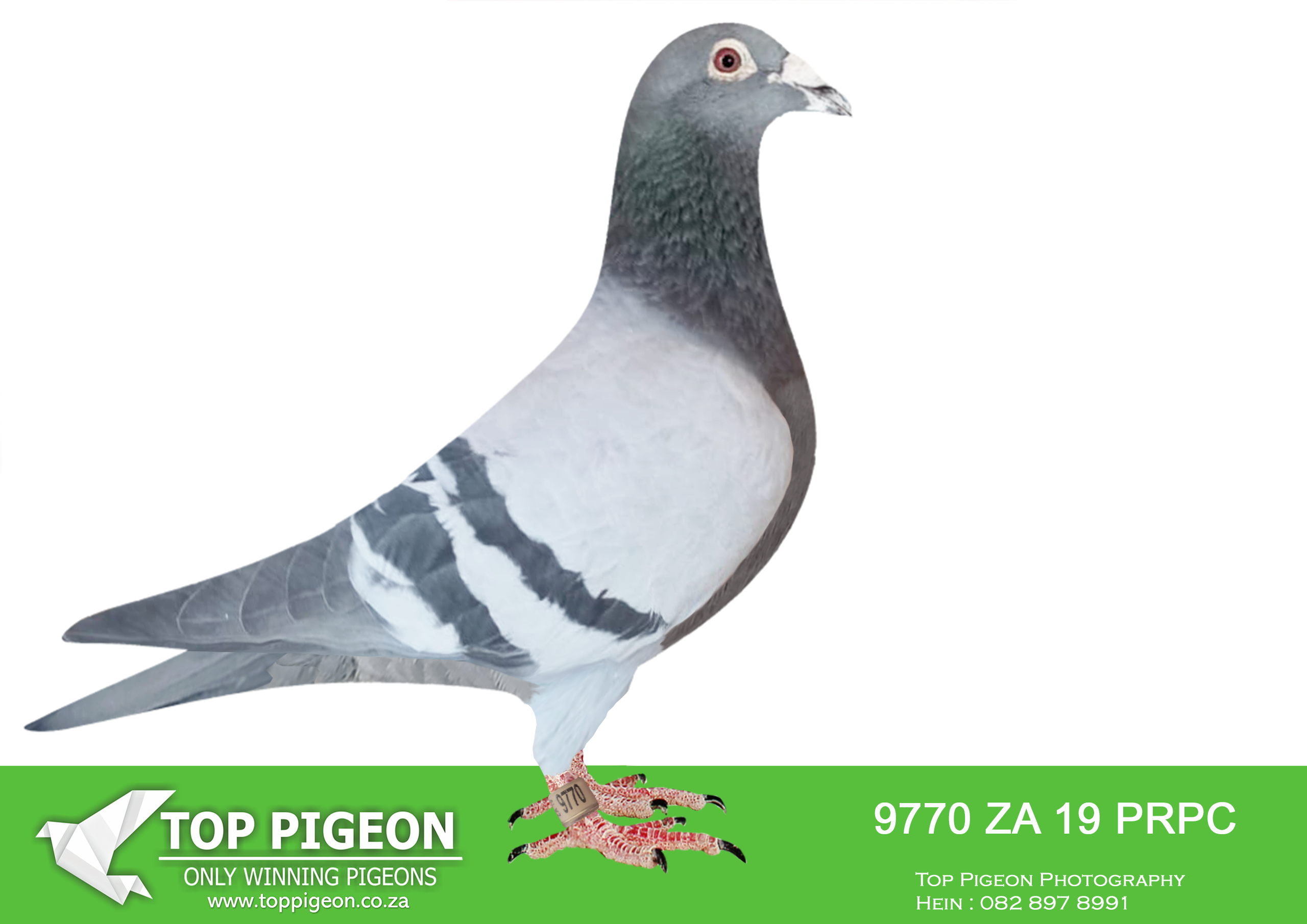 LOT 26 KALAHARI LOOTS AUCTION 2 – ZA 19 PRPC 9770 –