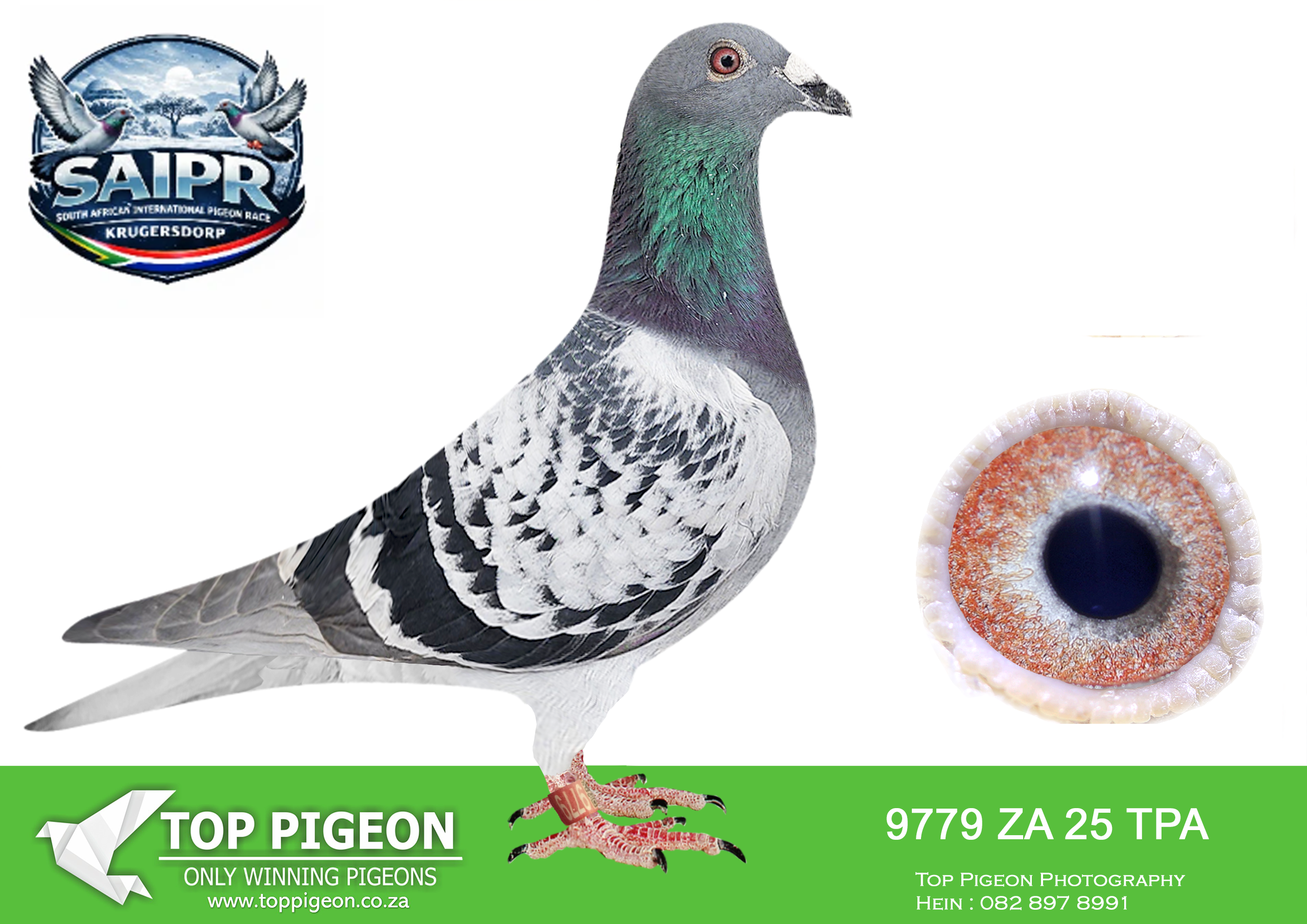 LOT 60 SAIPR WINTER OLR – Nico Muller-ZA TPA 9779 2025 –