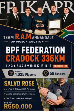 ACTIVE AUCTION - R.A.M ANNANDALE - FROM 6 AUGUST TO SUNDAY 9 AUGUST 2026 (ENDING FROM 15:10)