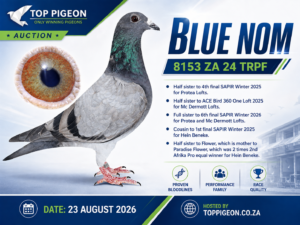 UPCOMING AUCTION - BLUE NOM - FROM 21 AUGUST TO SUNDAY 23 AUGUST 2026 (ENDING 16:10)